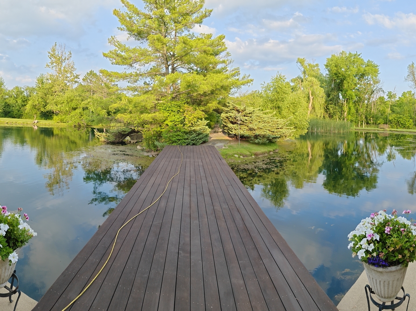 main property photo 43