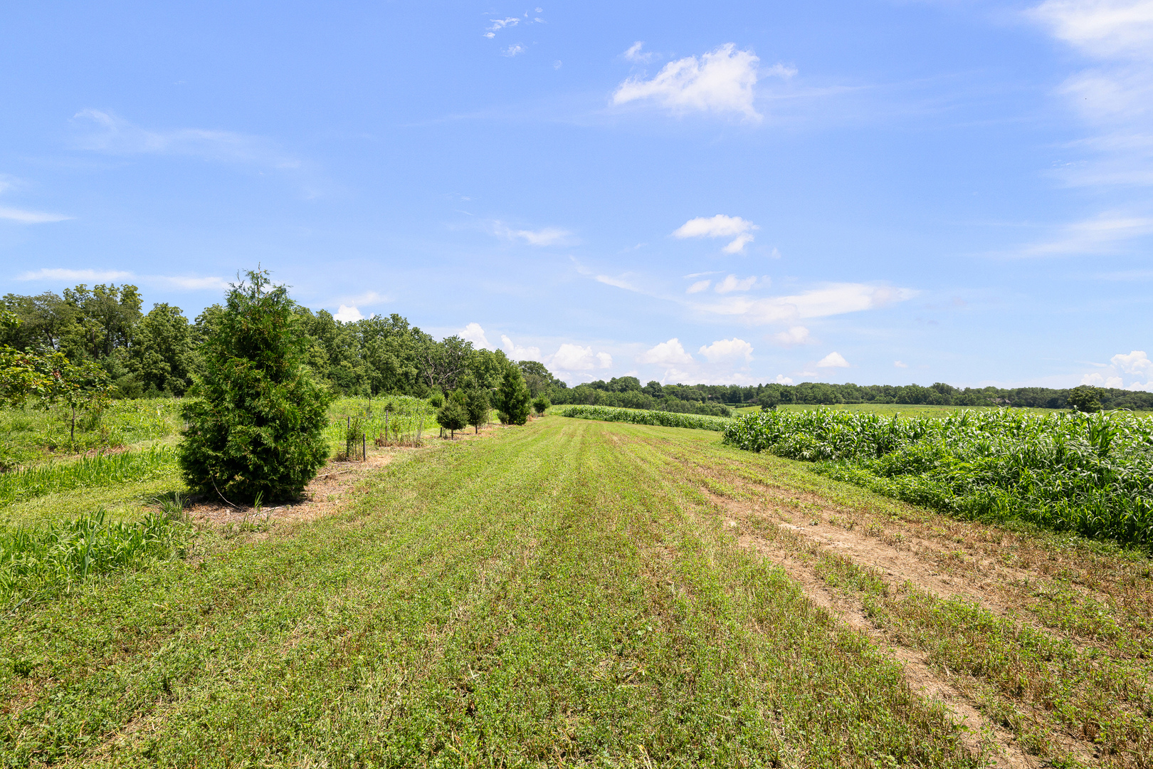 main property photo 12