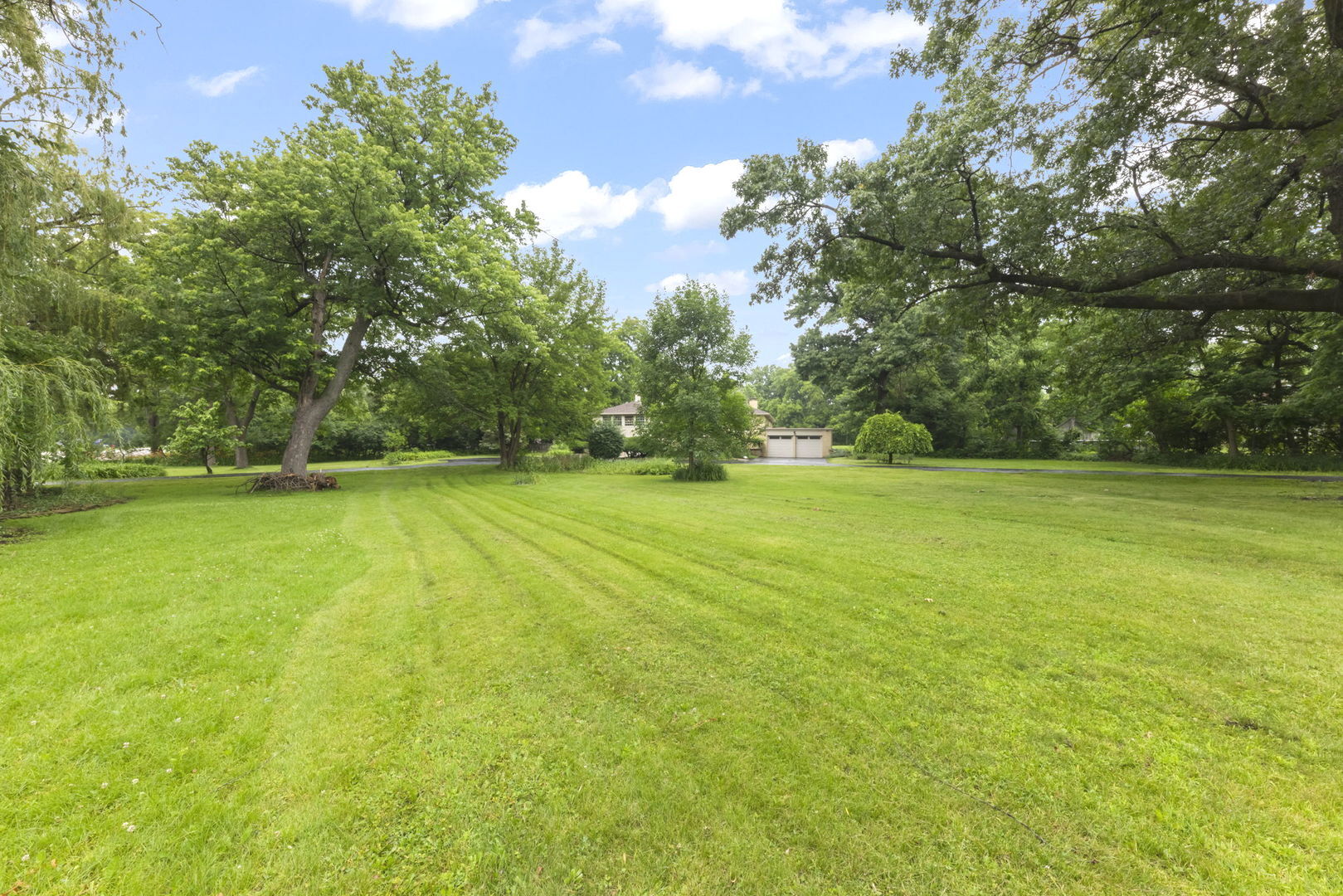 main property photo 42