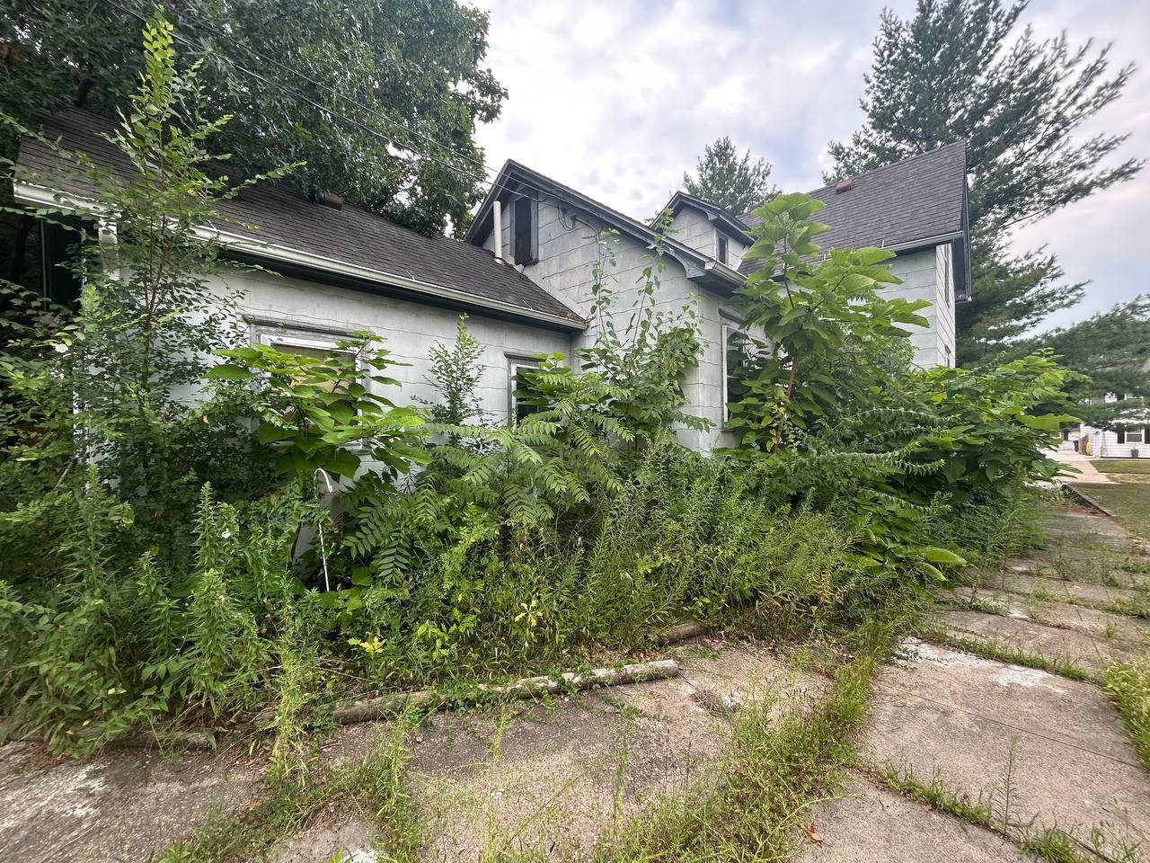main property photo 47