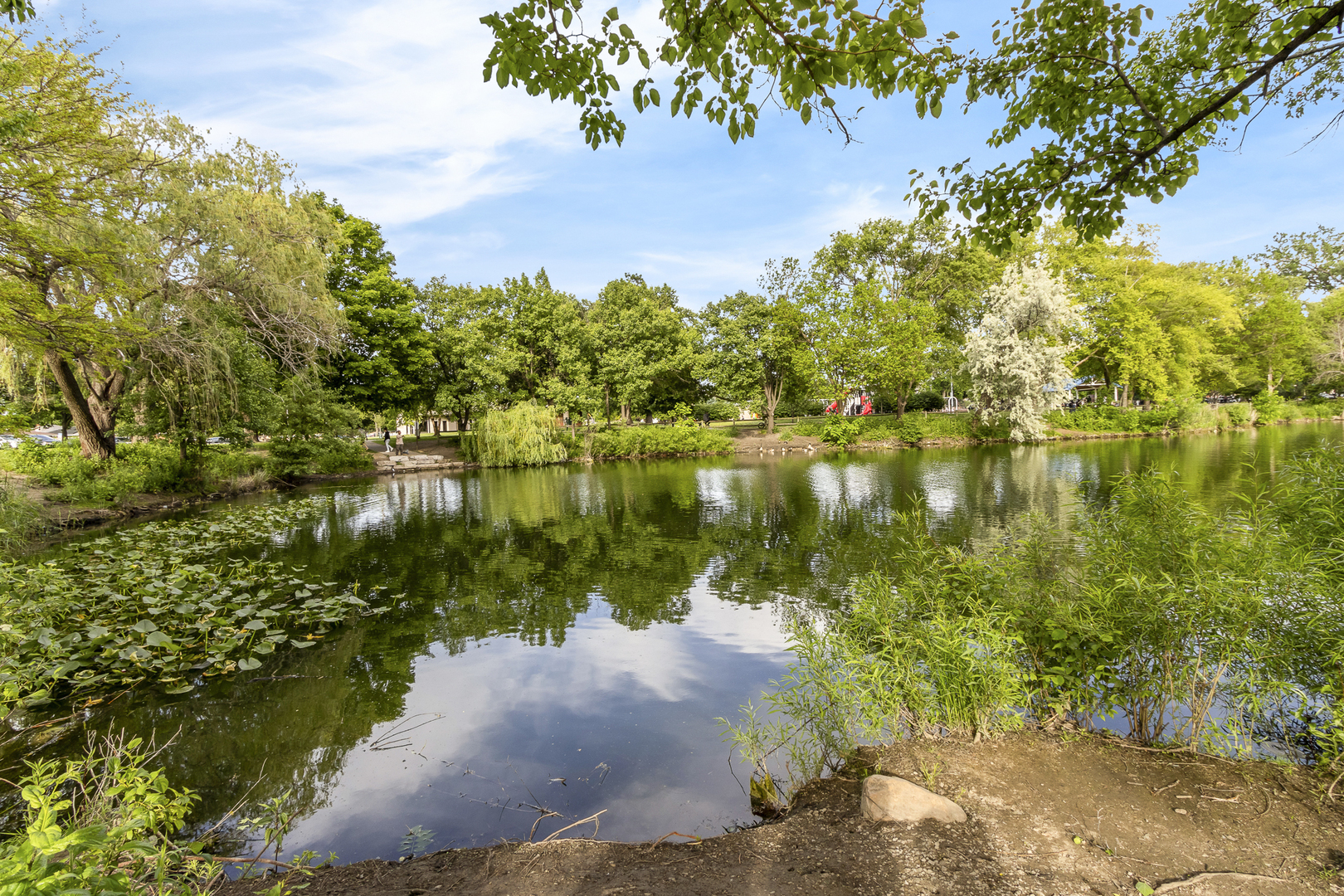 main property photo 41