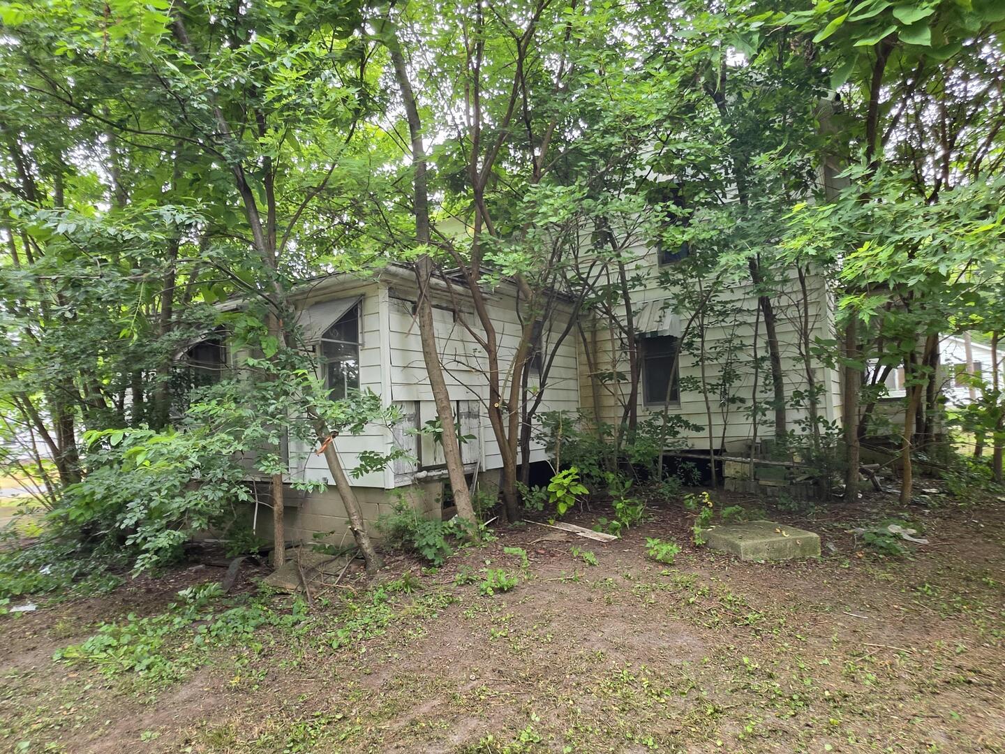 main property photo 11