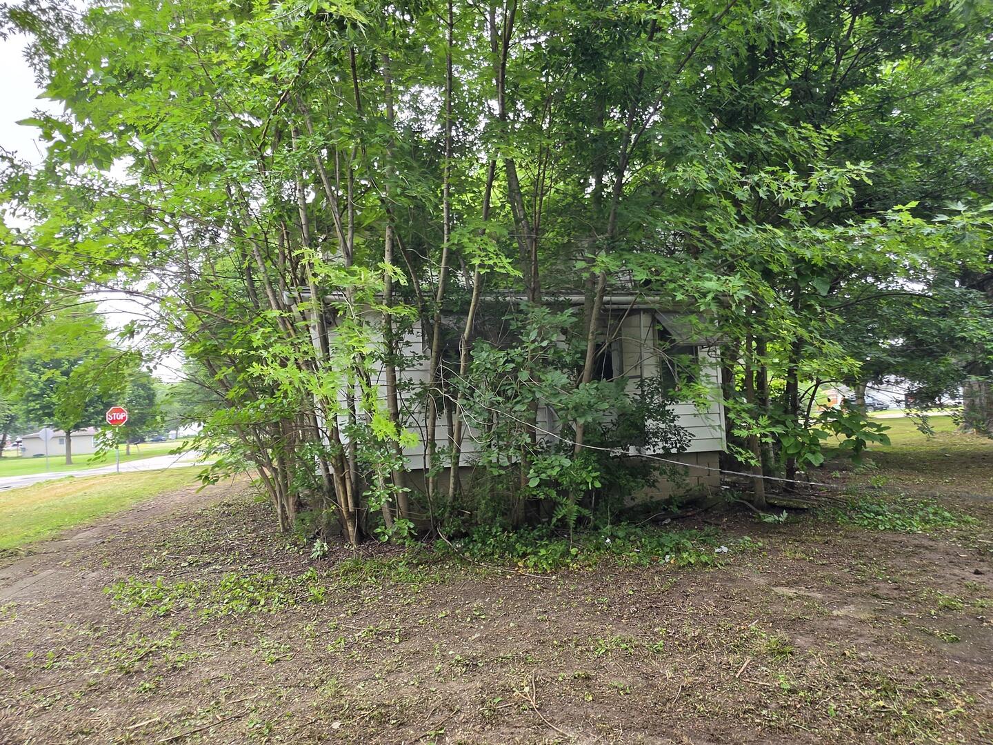 main property photo 7