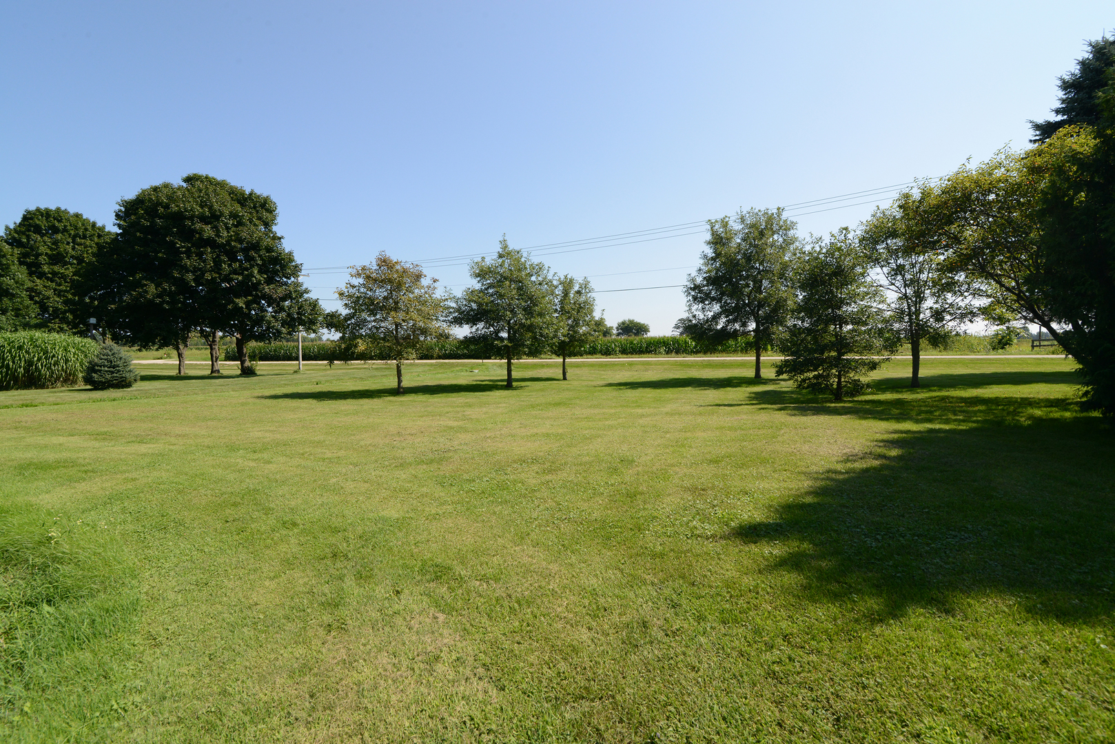 main property photo 32