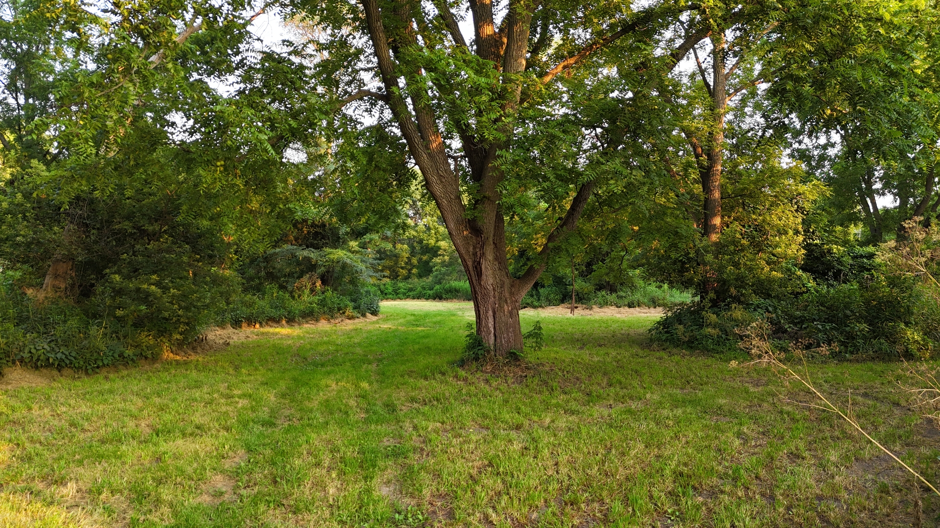 main property photo 45