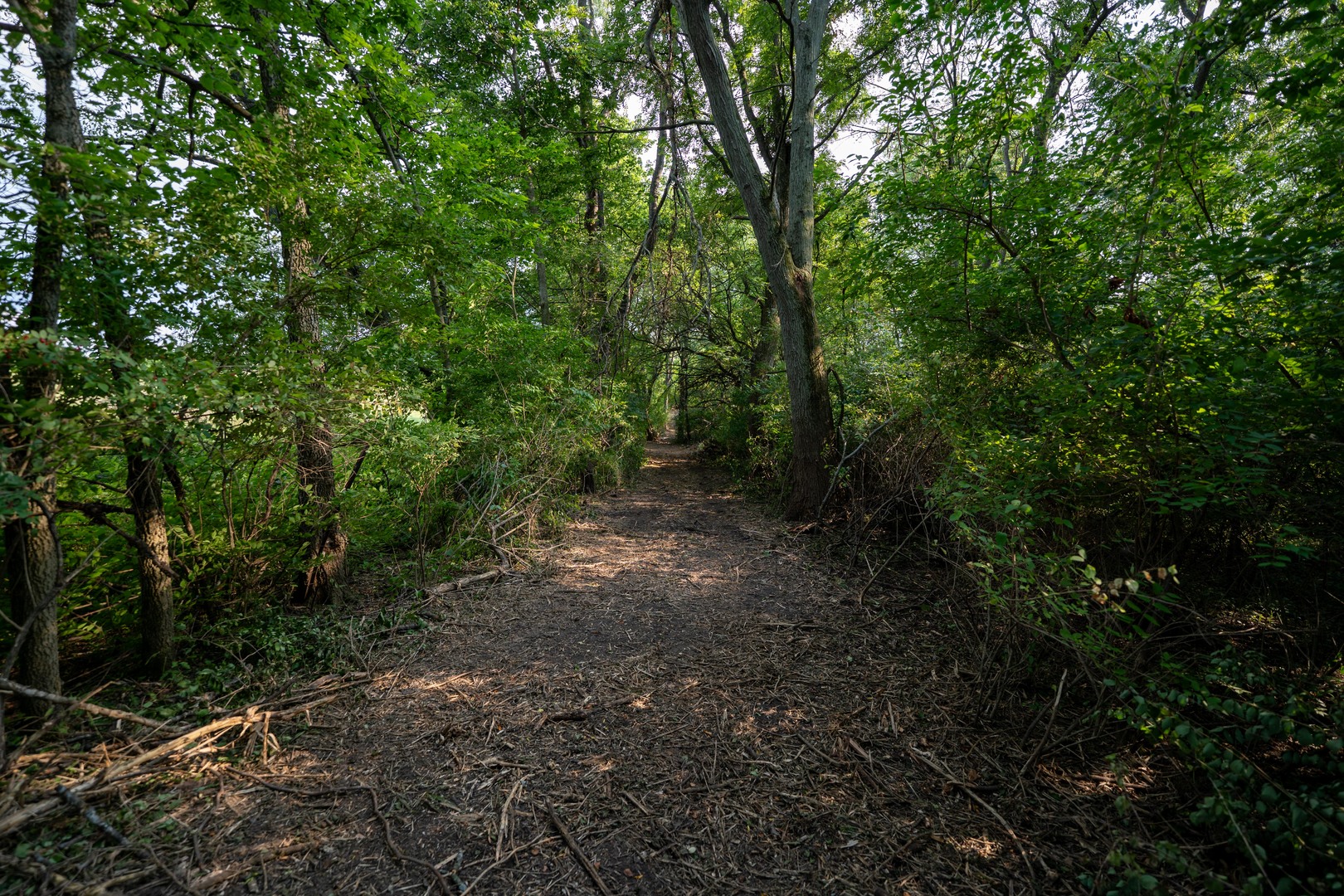 main property photo 19