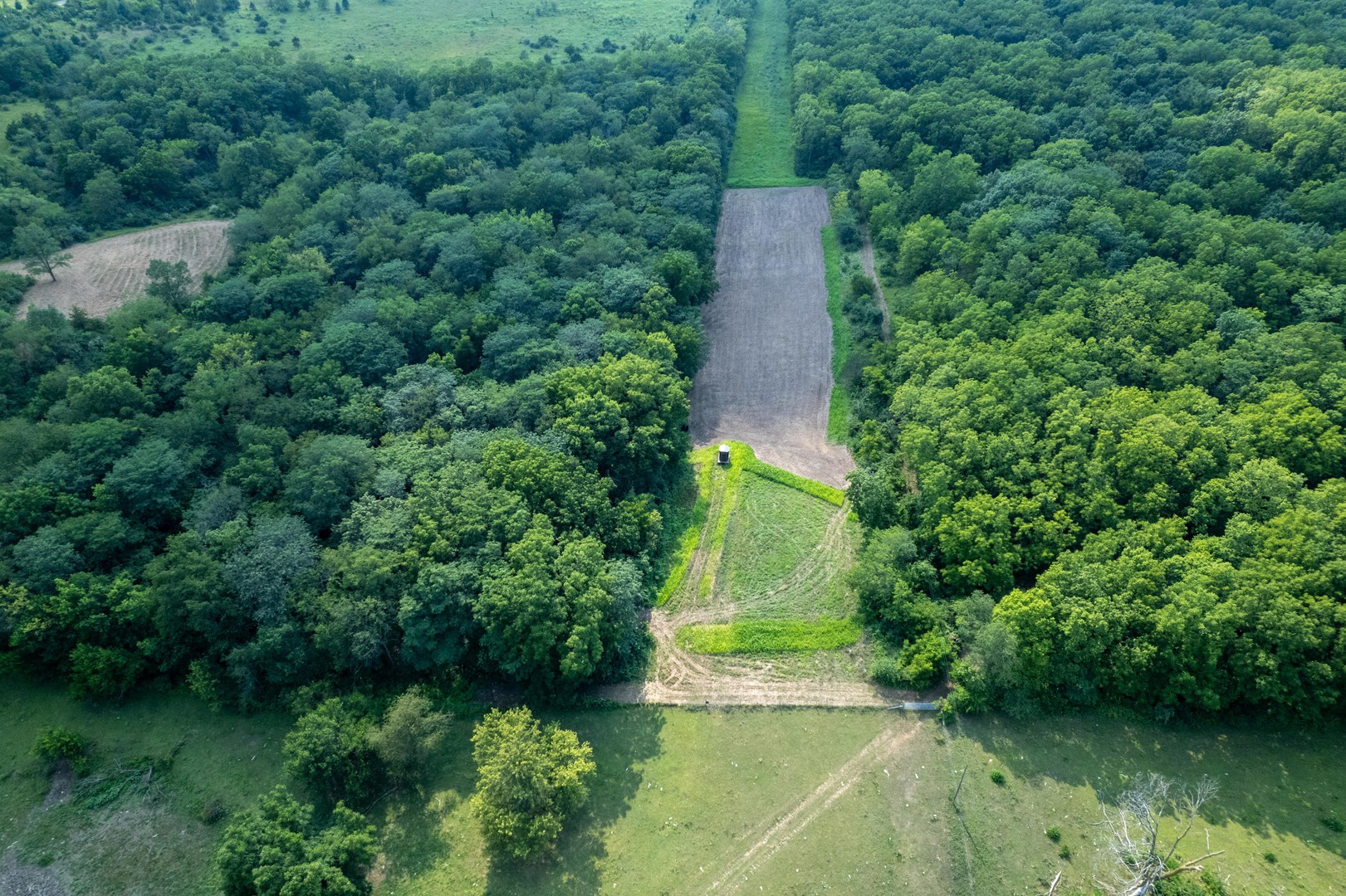 main property photo 41