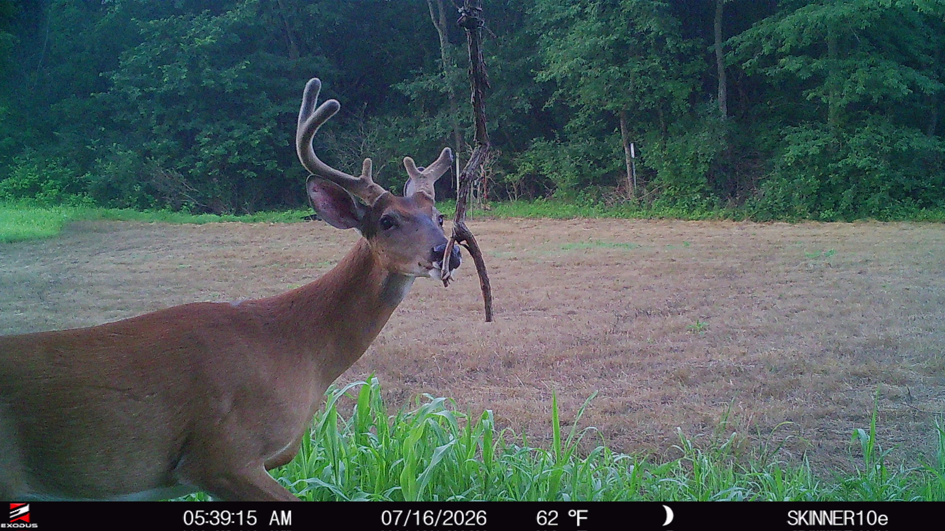 main property photo 54