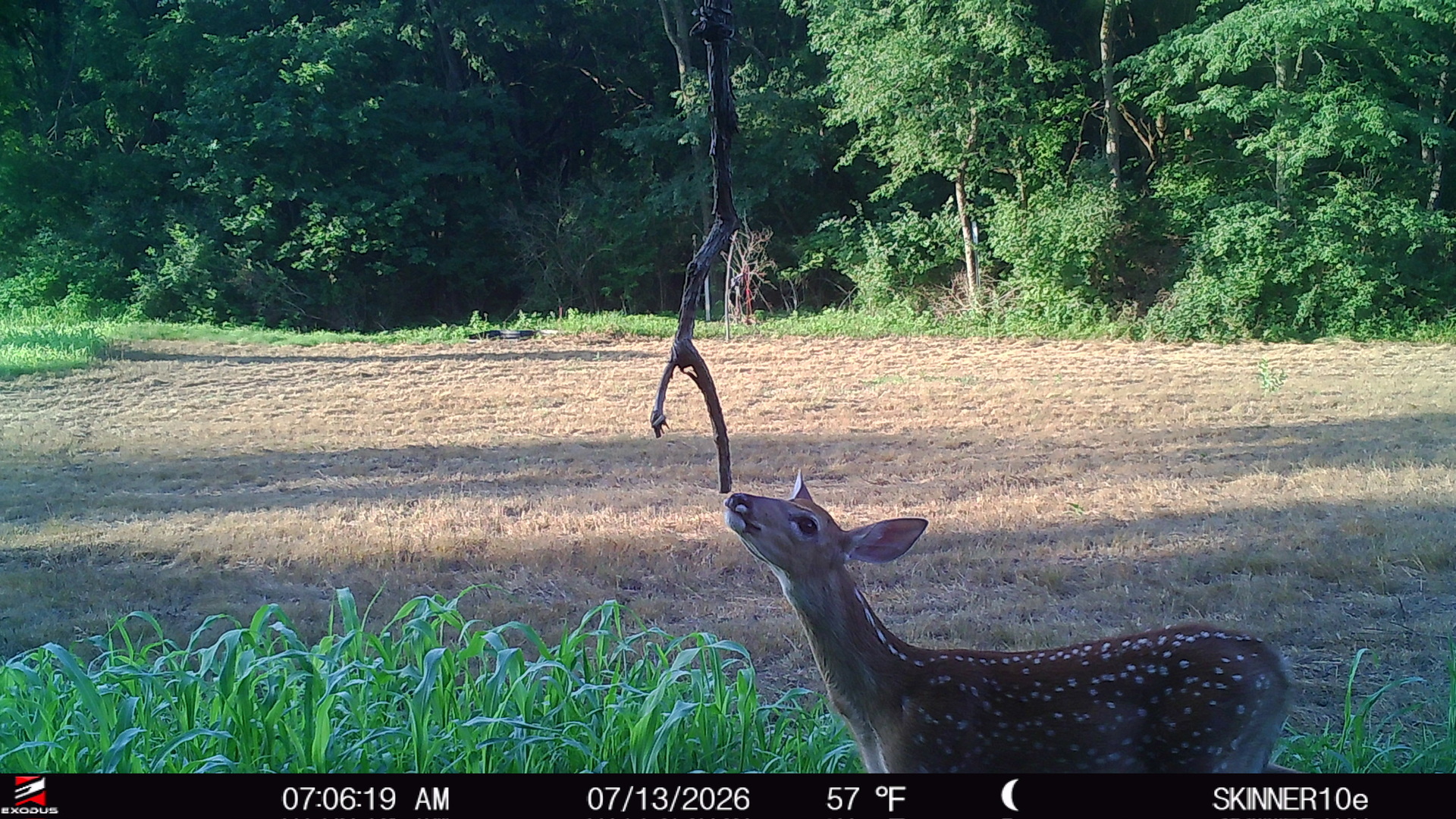 main property photo 55