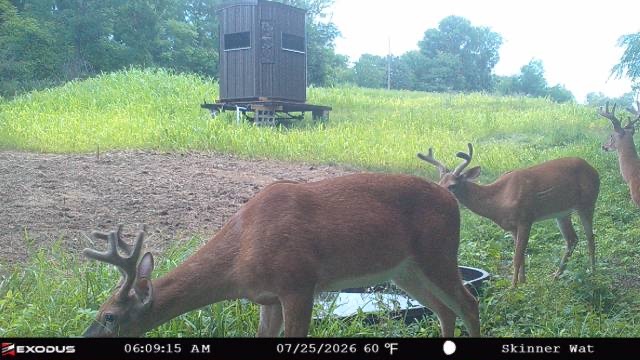 main property photo 56