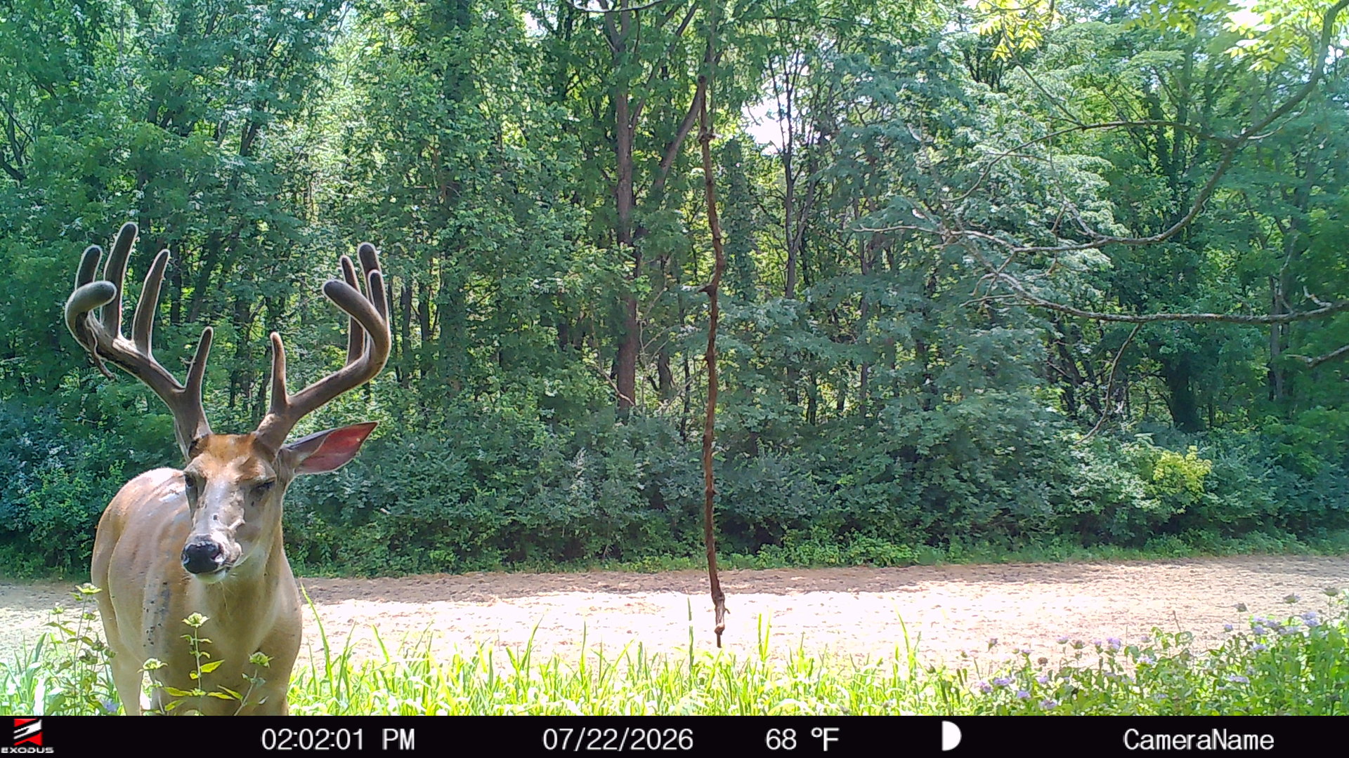 main property photo 58