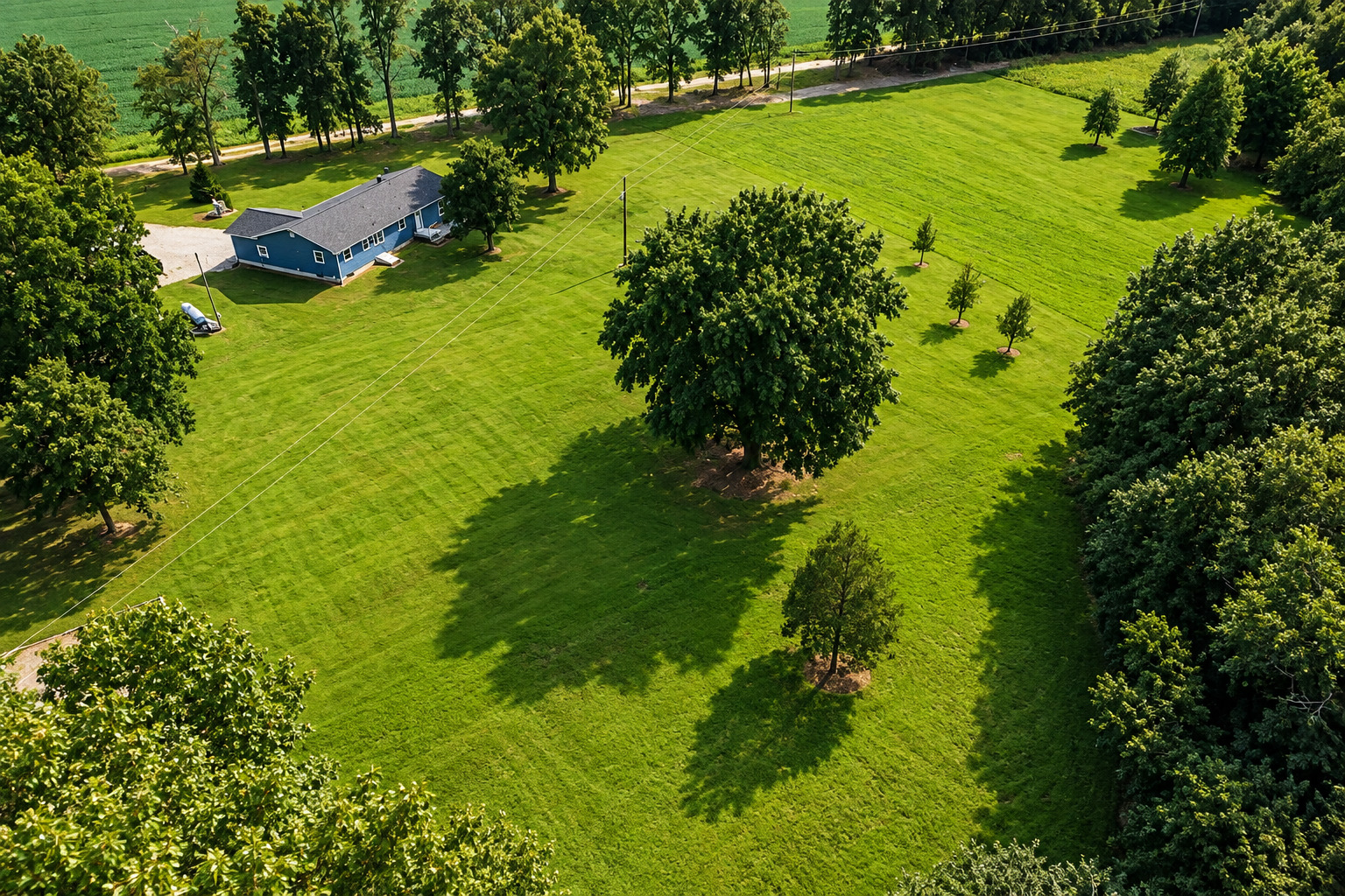 main property photo 56