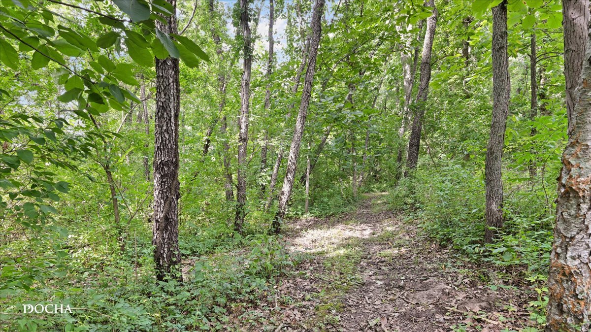 main property photo 67