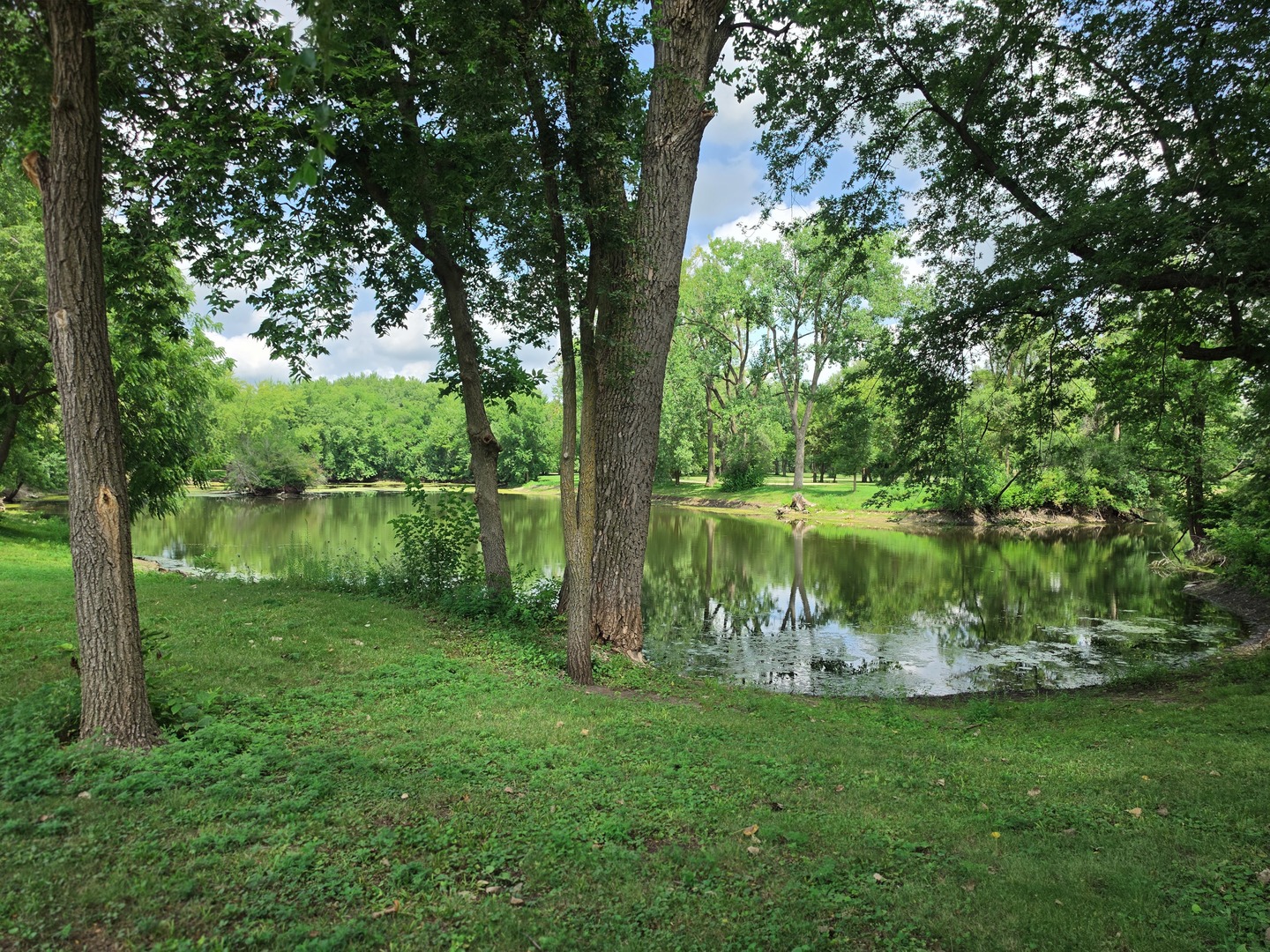 main property photo 11