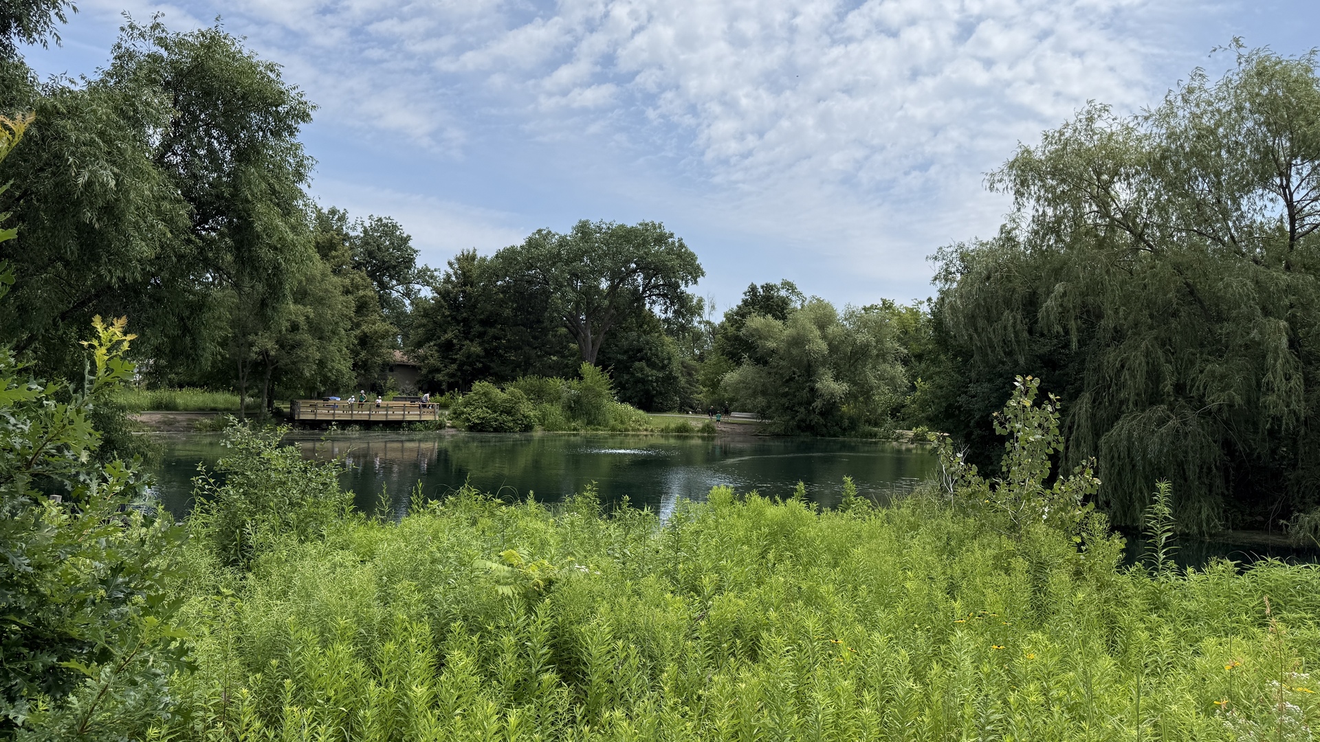 main property photo 19
