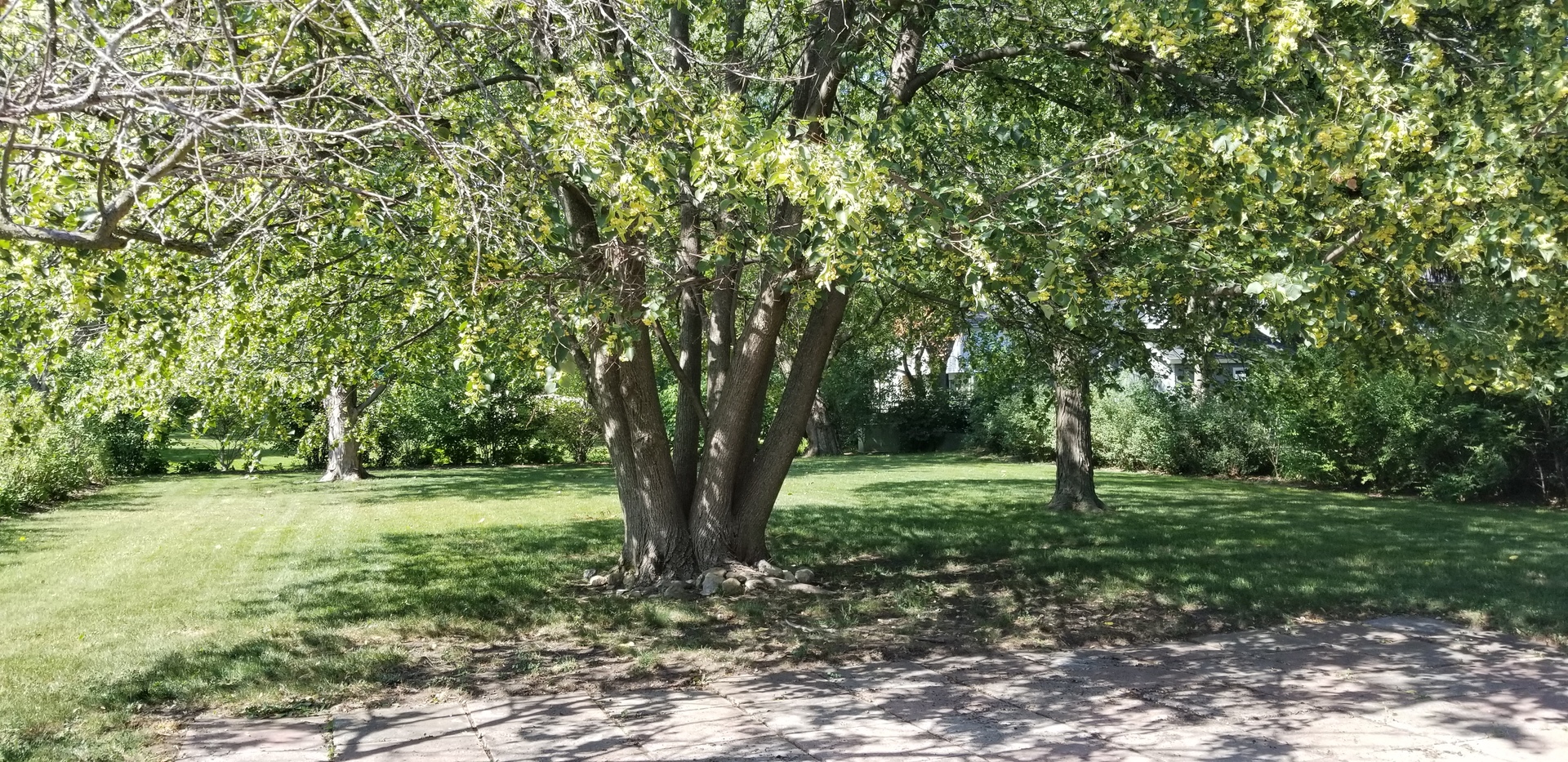 main property photo 17