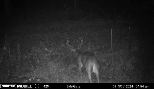 main property photo 50