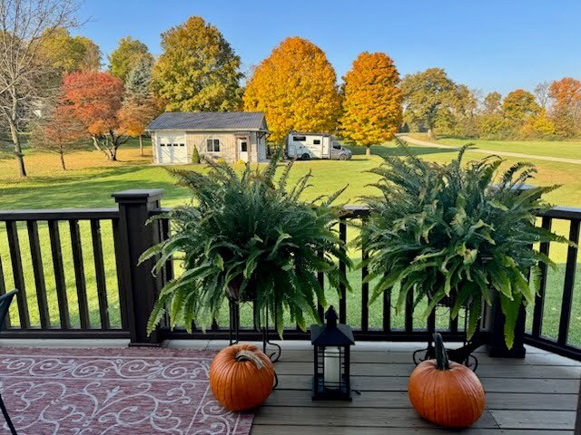 main property photo 67
