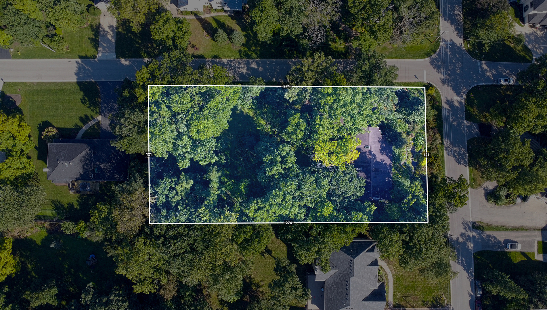 main property photo 43