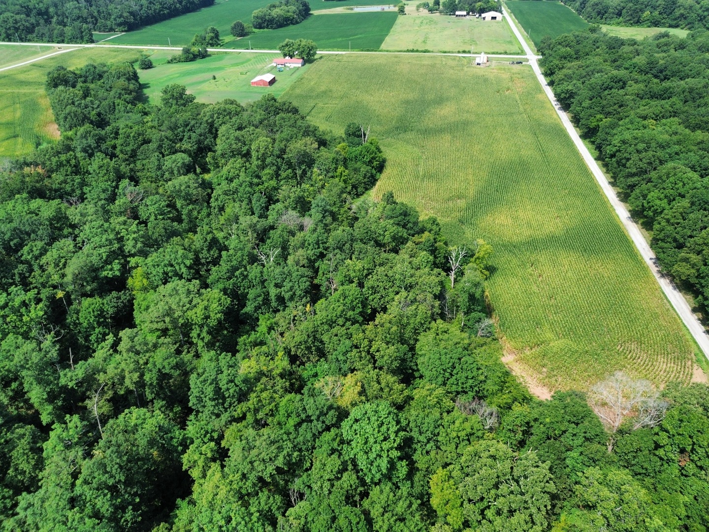 main property photo 11