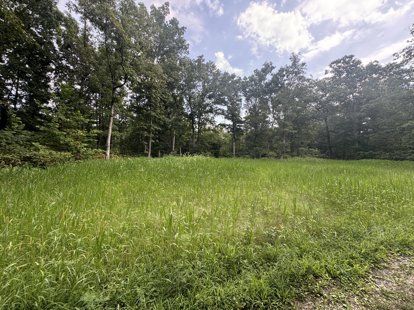 main property photo 27