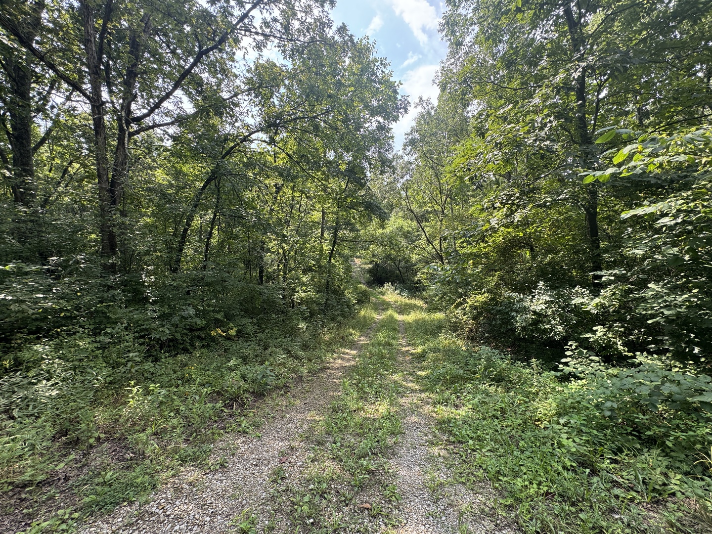 main property photo 39