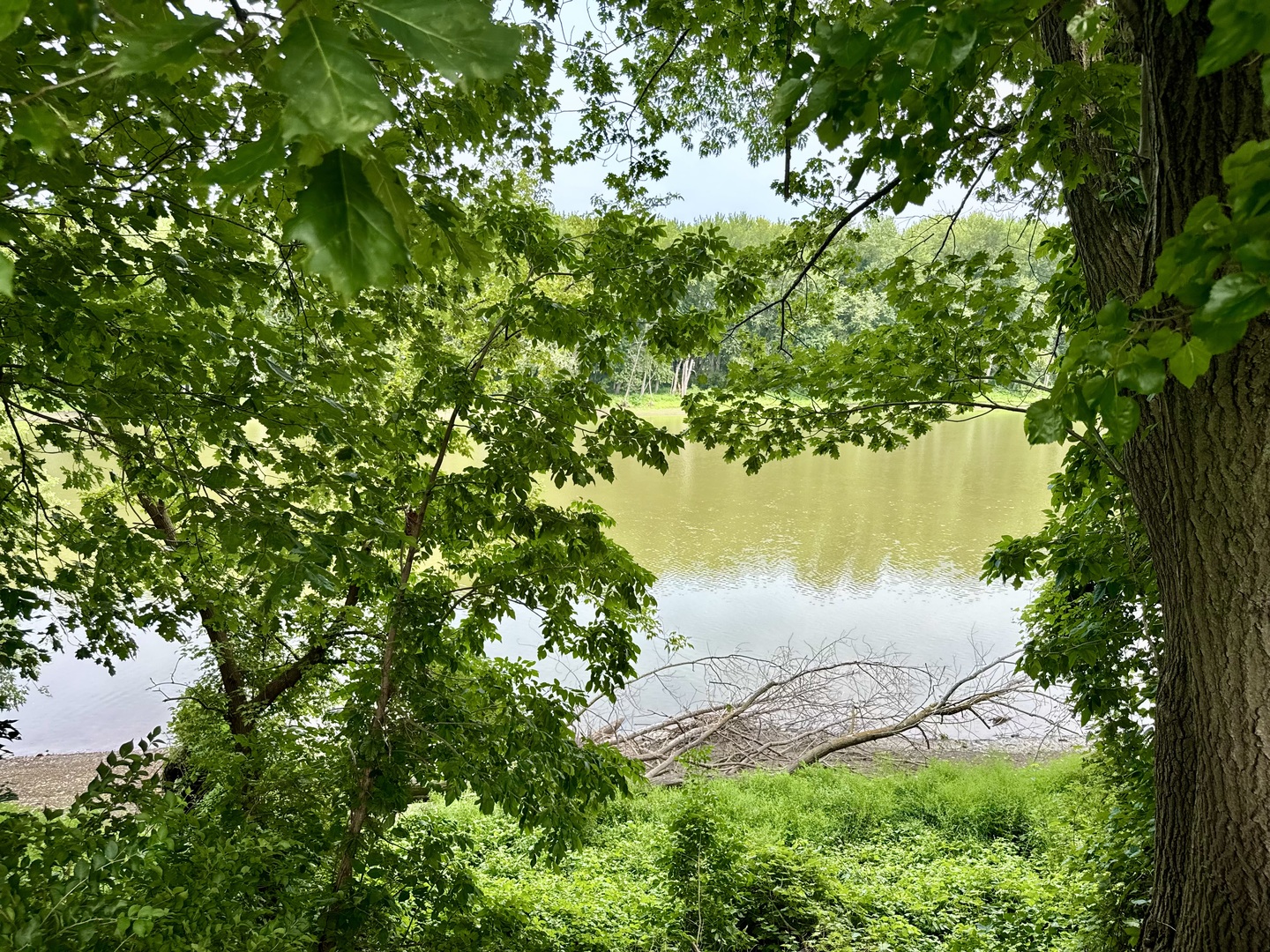 main property photo 30