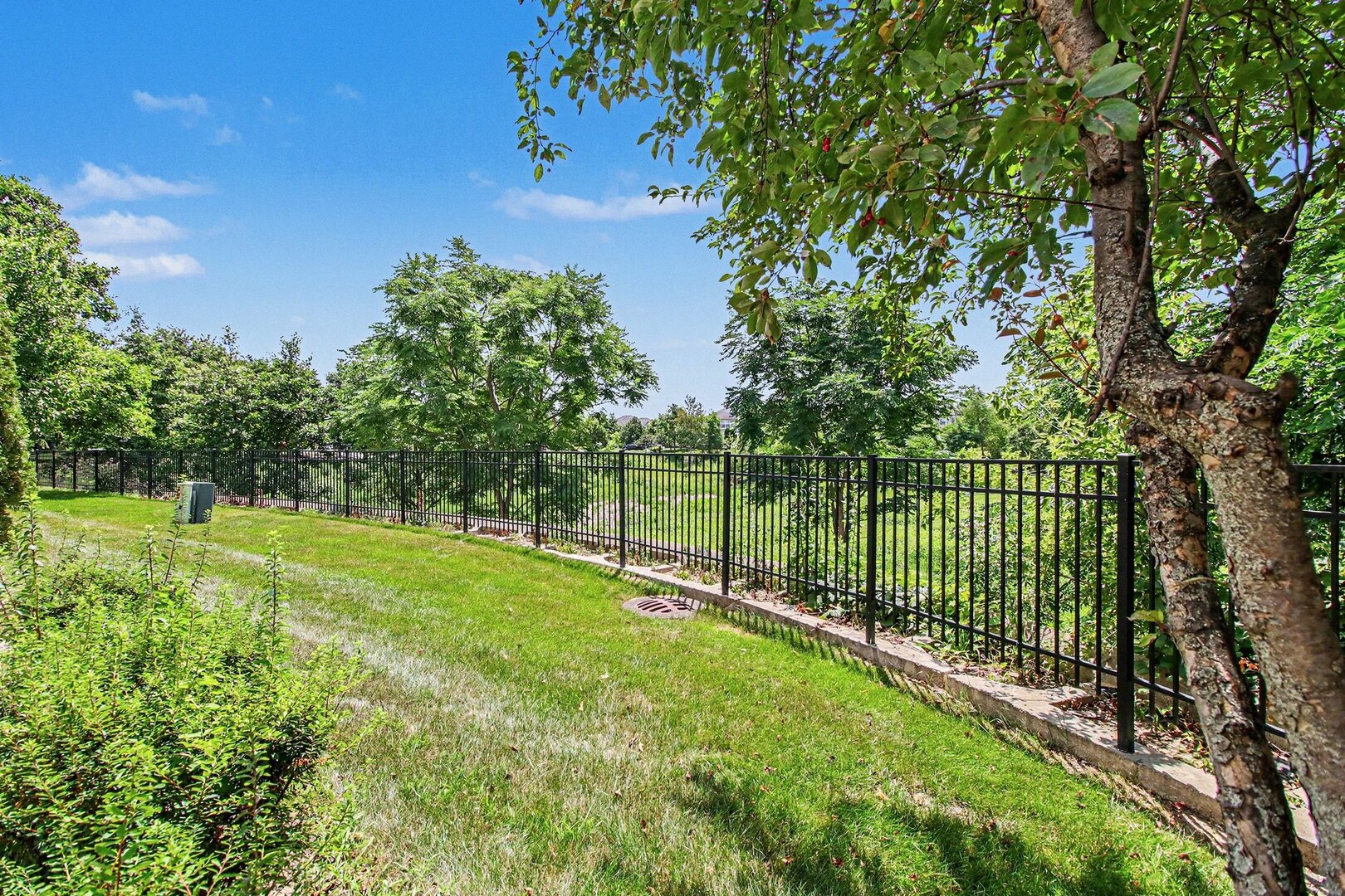 main property photo 17