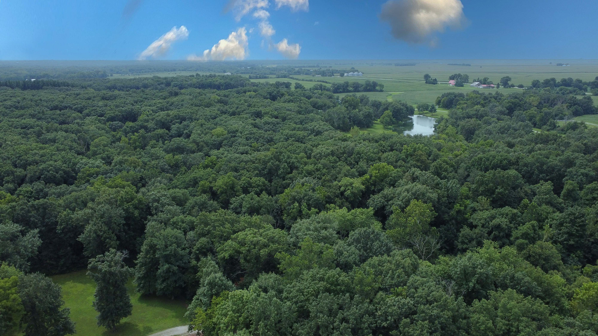 main property photo 129