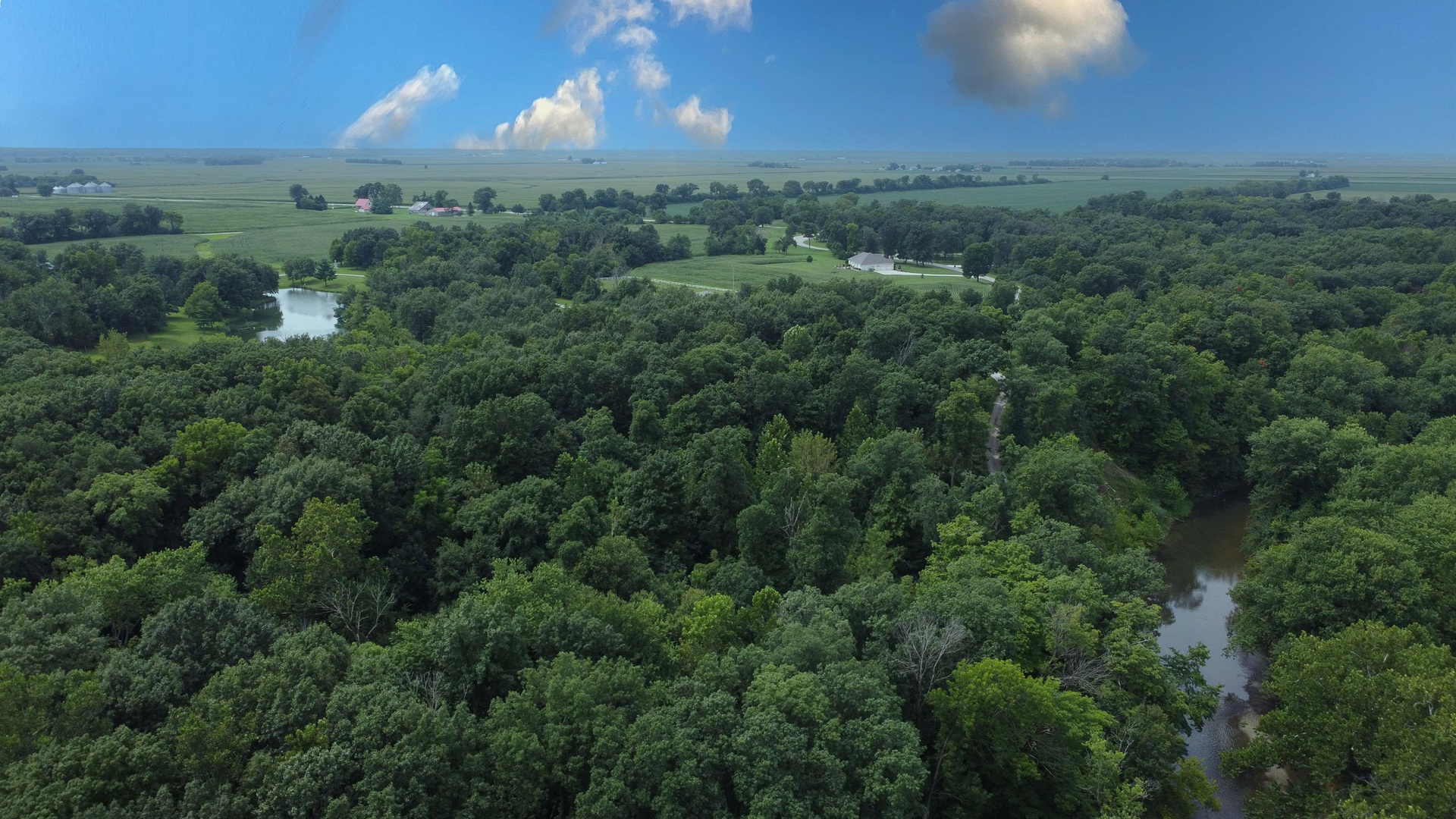 main property photo 131
