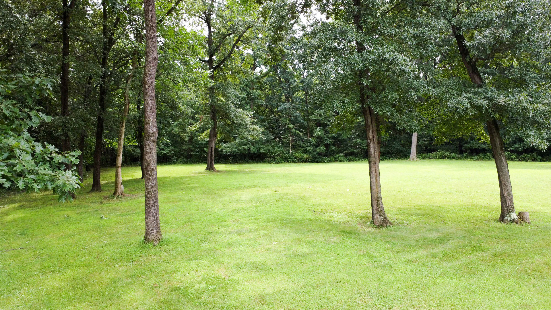 main property photo 134