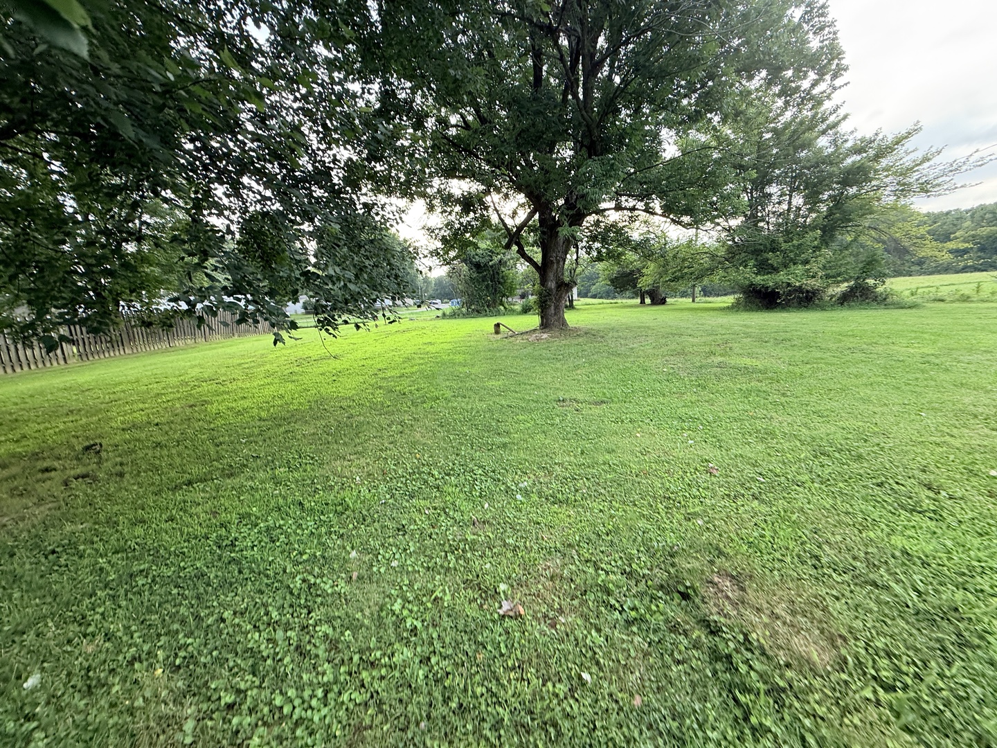 property viewer photo 25