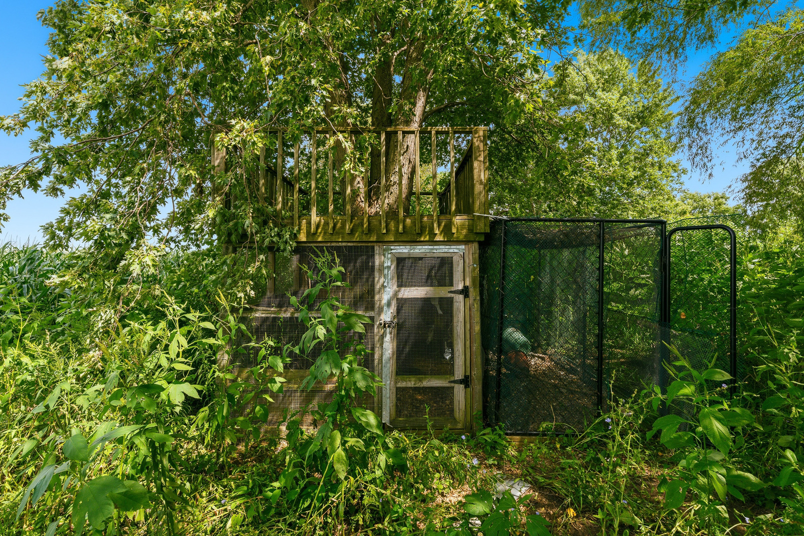 main property photo 58