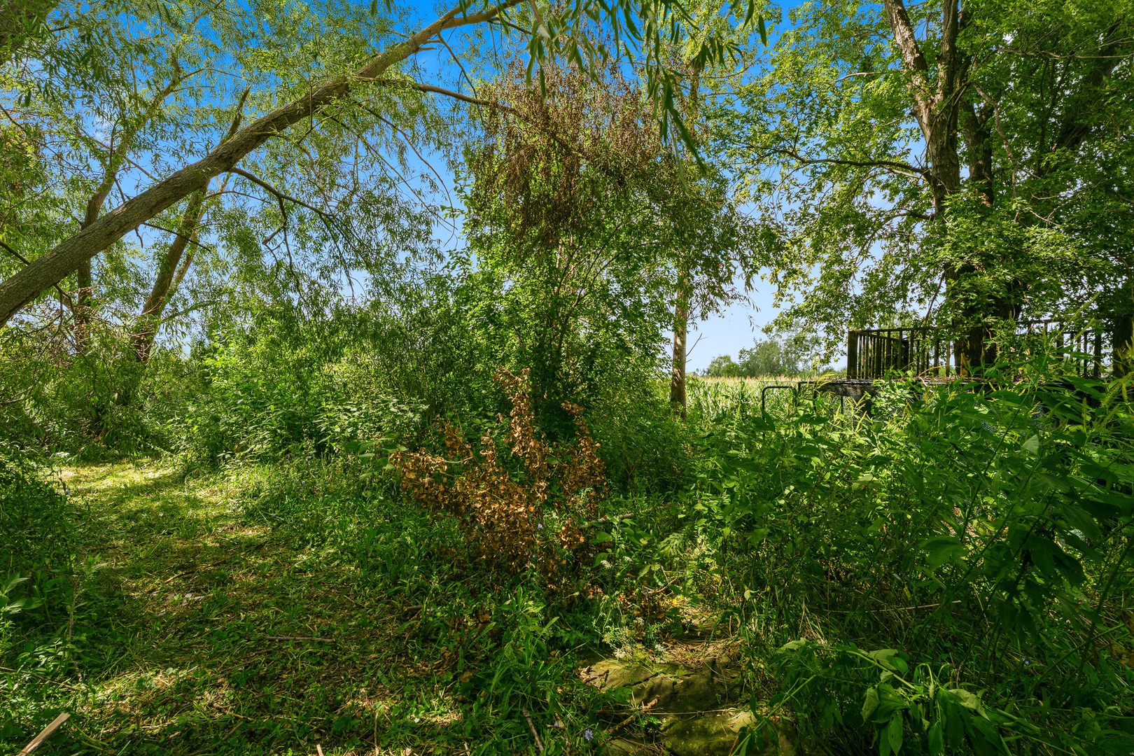 main property photo 59