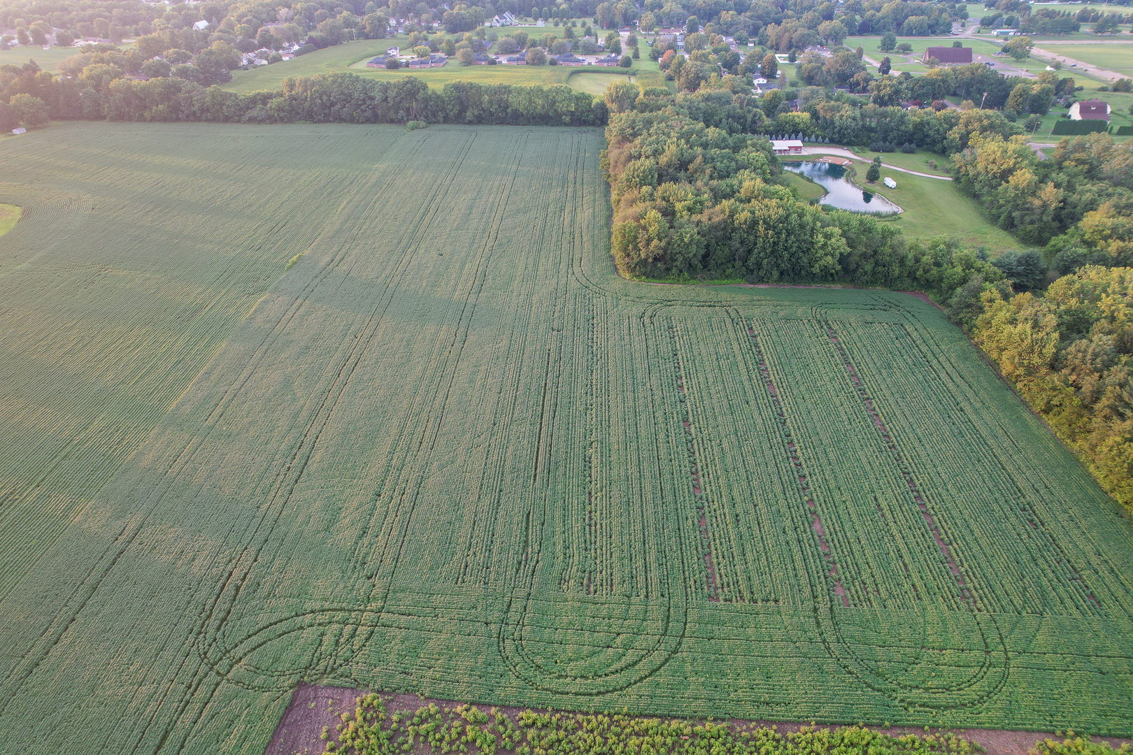 main property photo 8