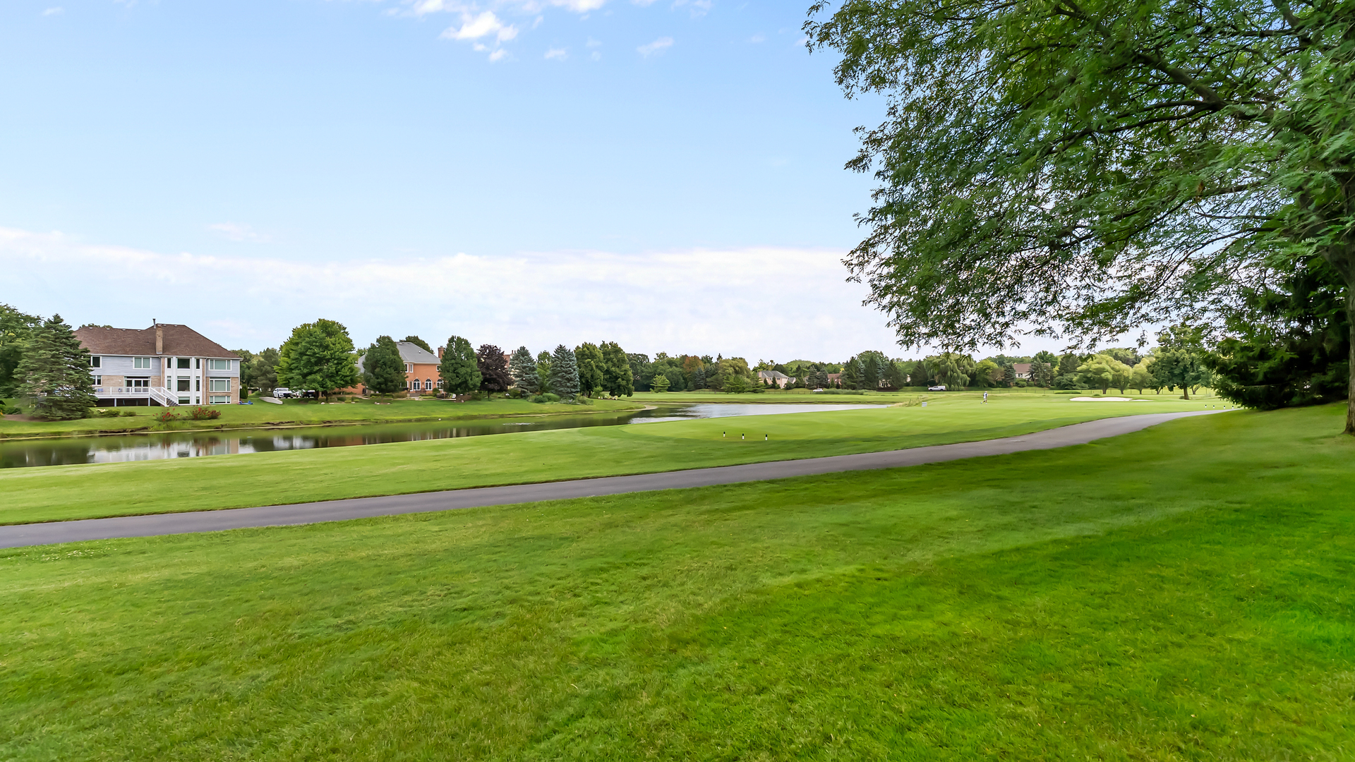 main property photo 56