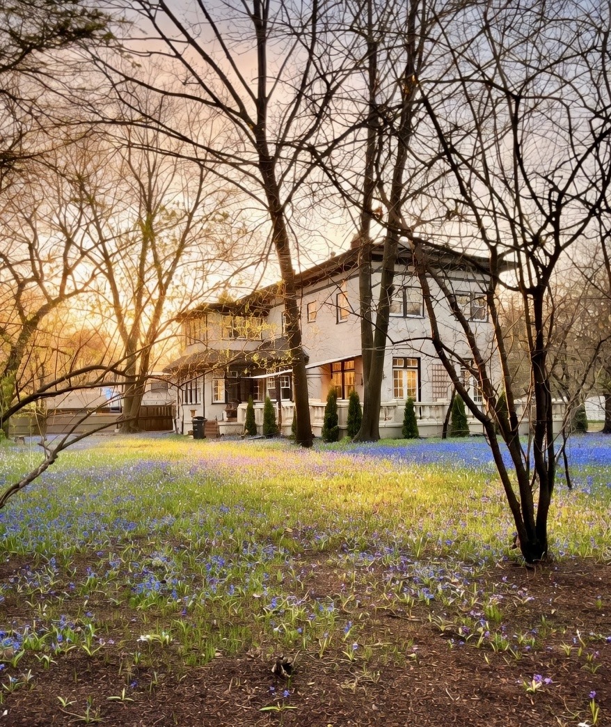 main property photo 67