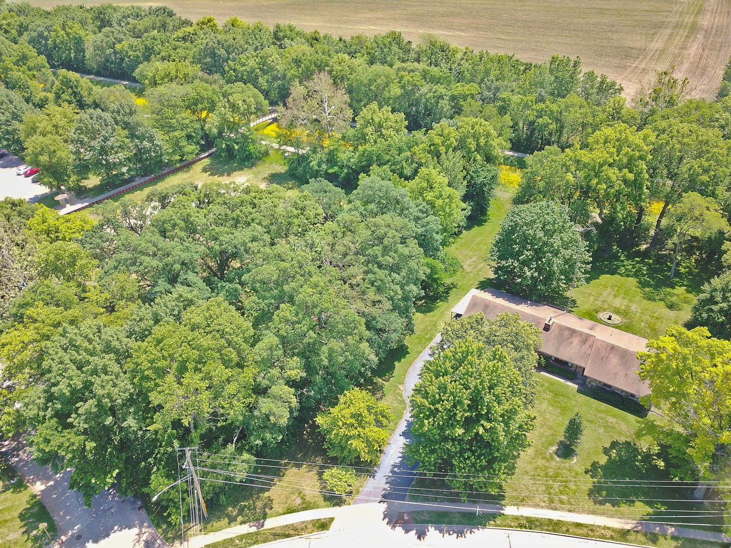 main property photo 4