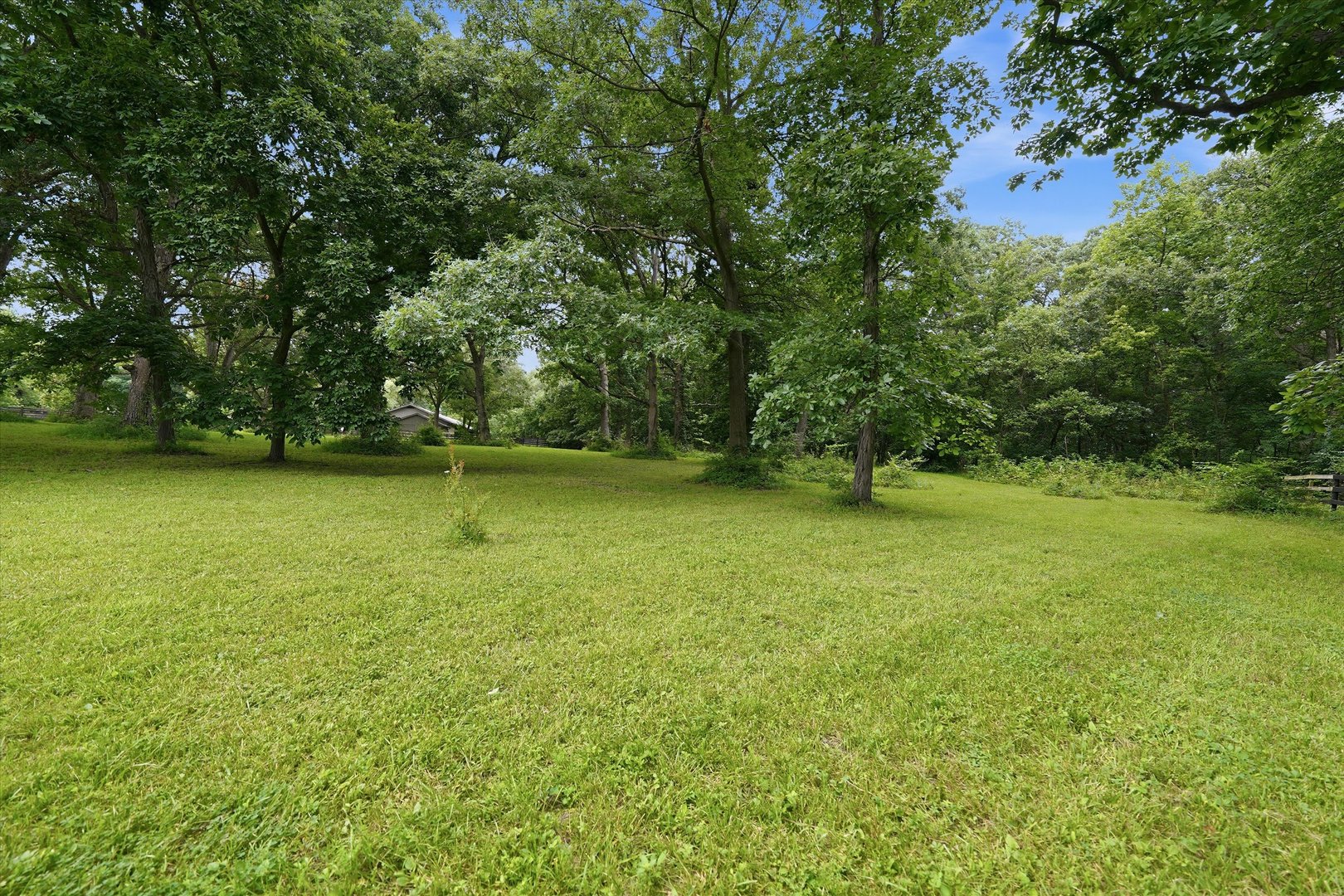 main property photo 68