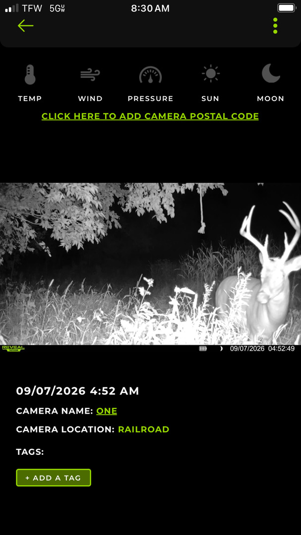 main property photo 9
