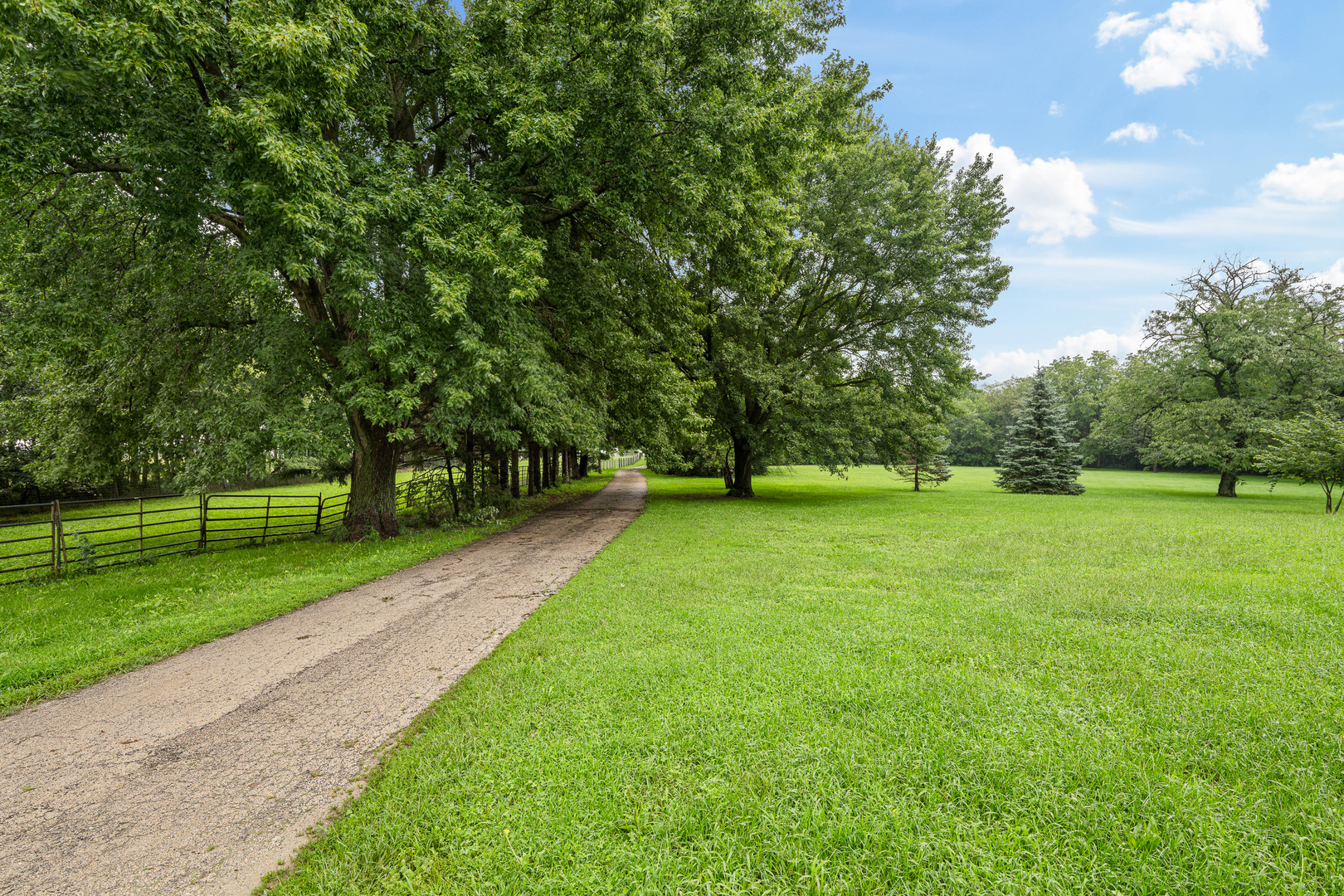 main property photo 58
