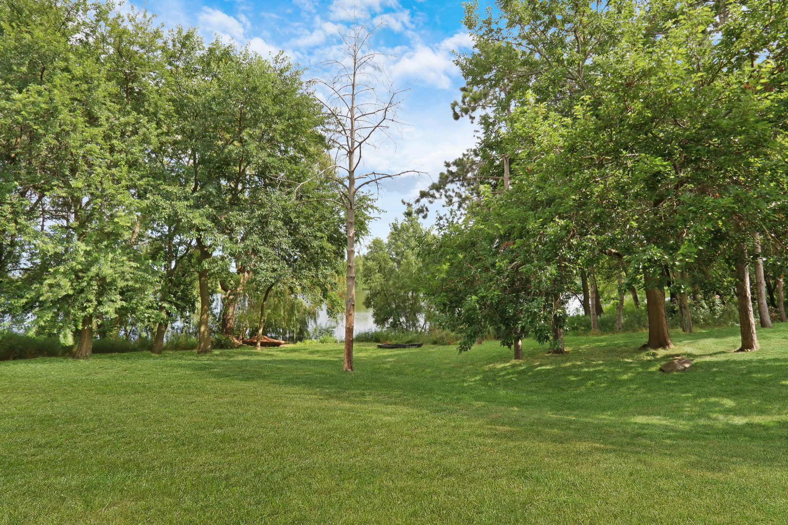 main property photo 53