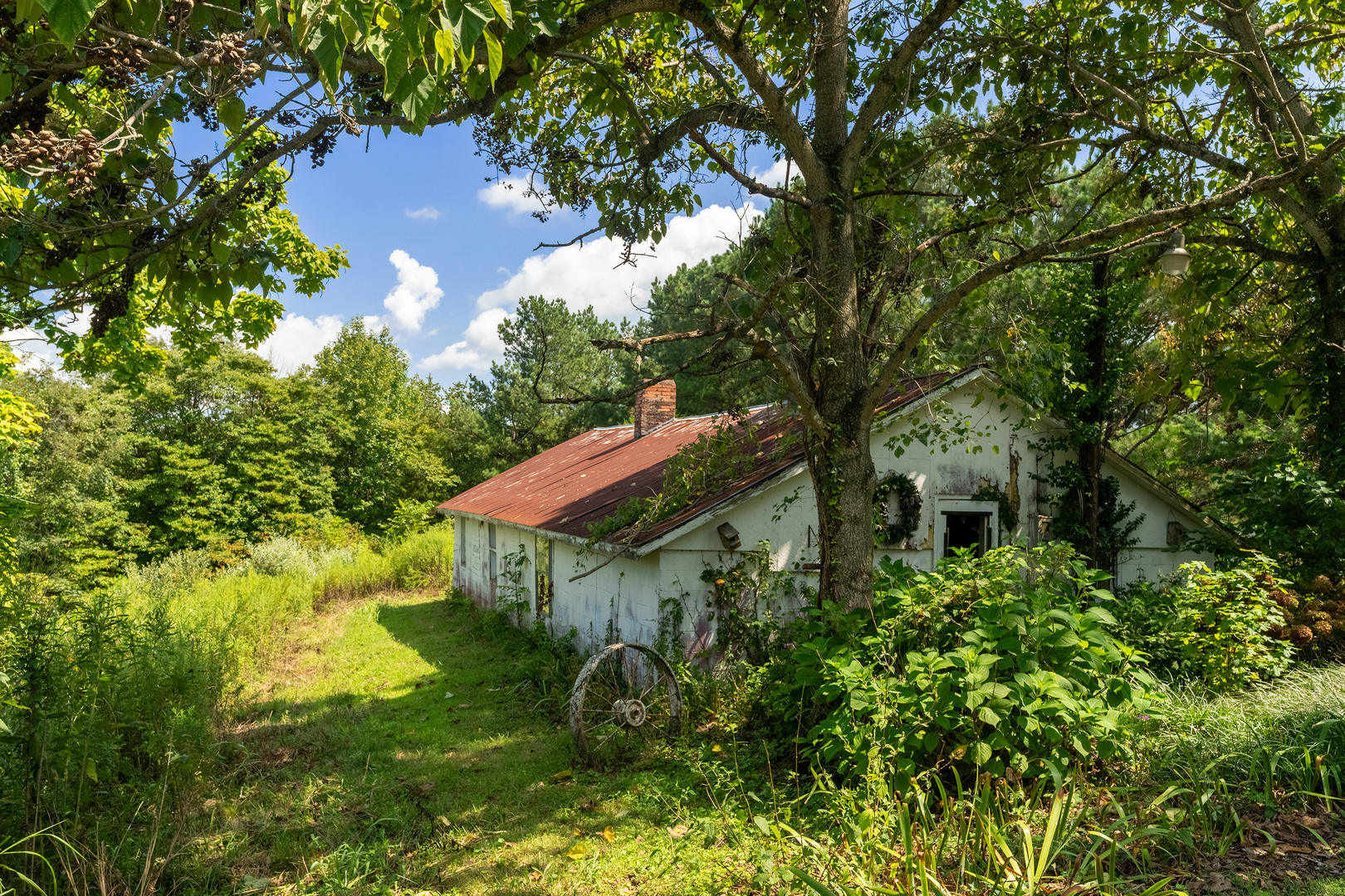 main property photo 34