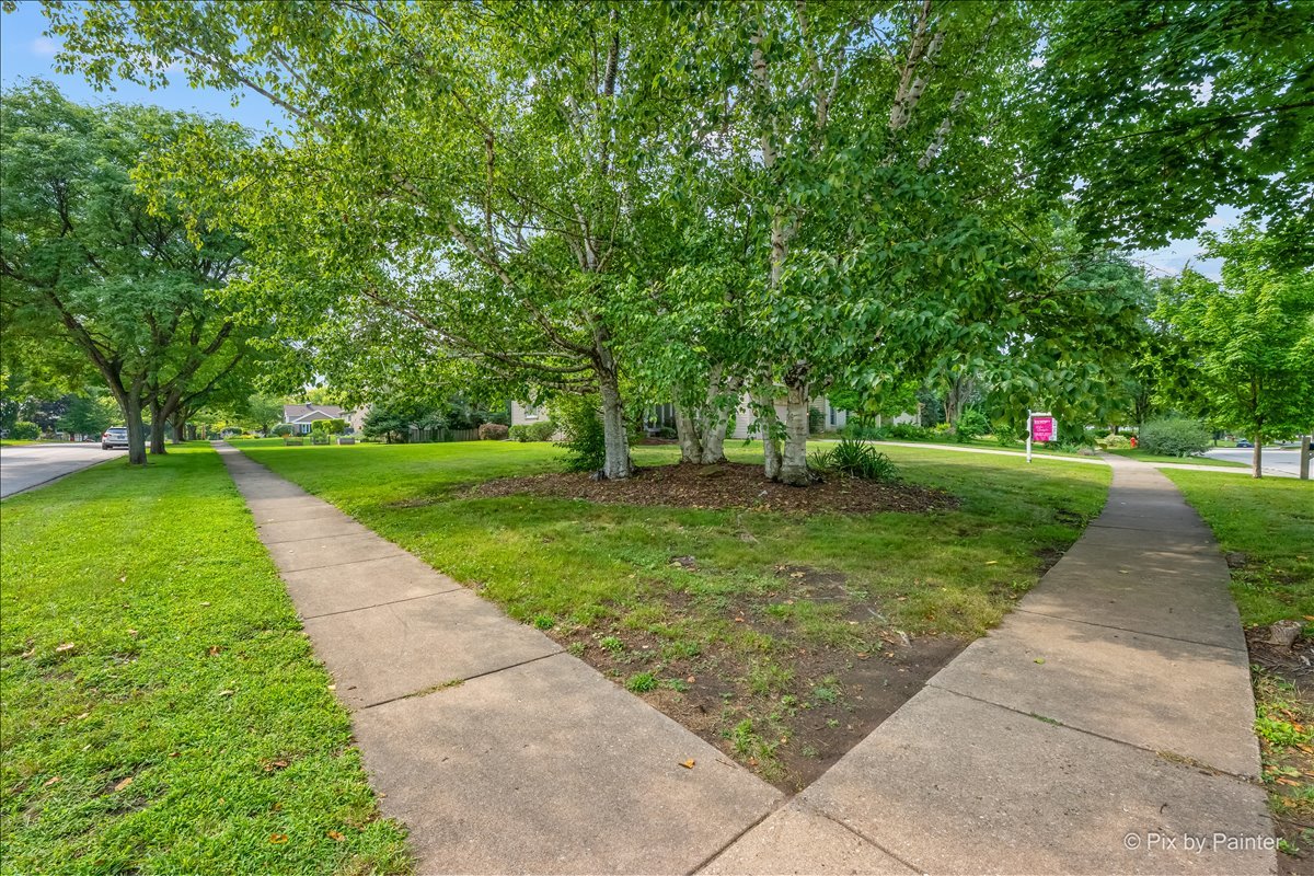 main property photo 38