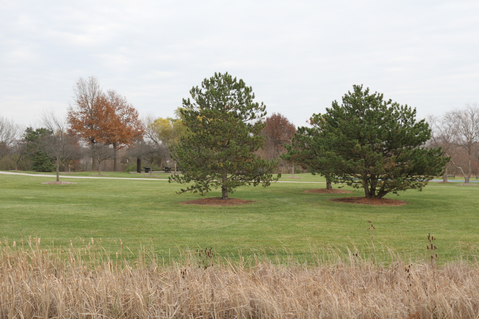 property viewer photo 32