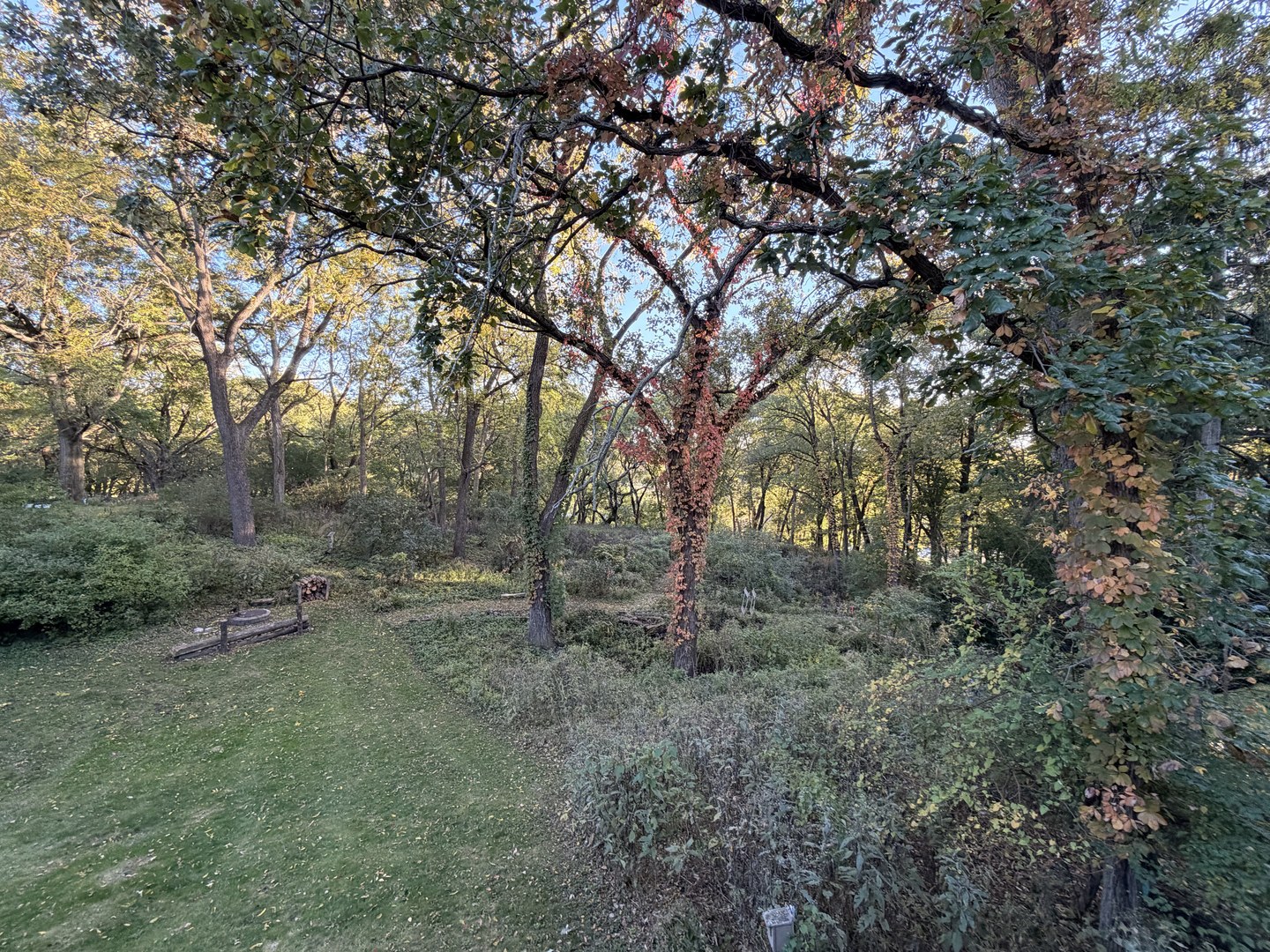 main property photo 55