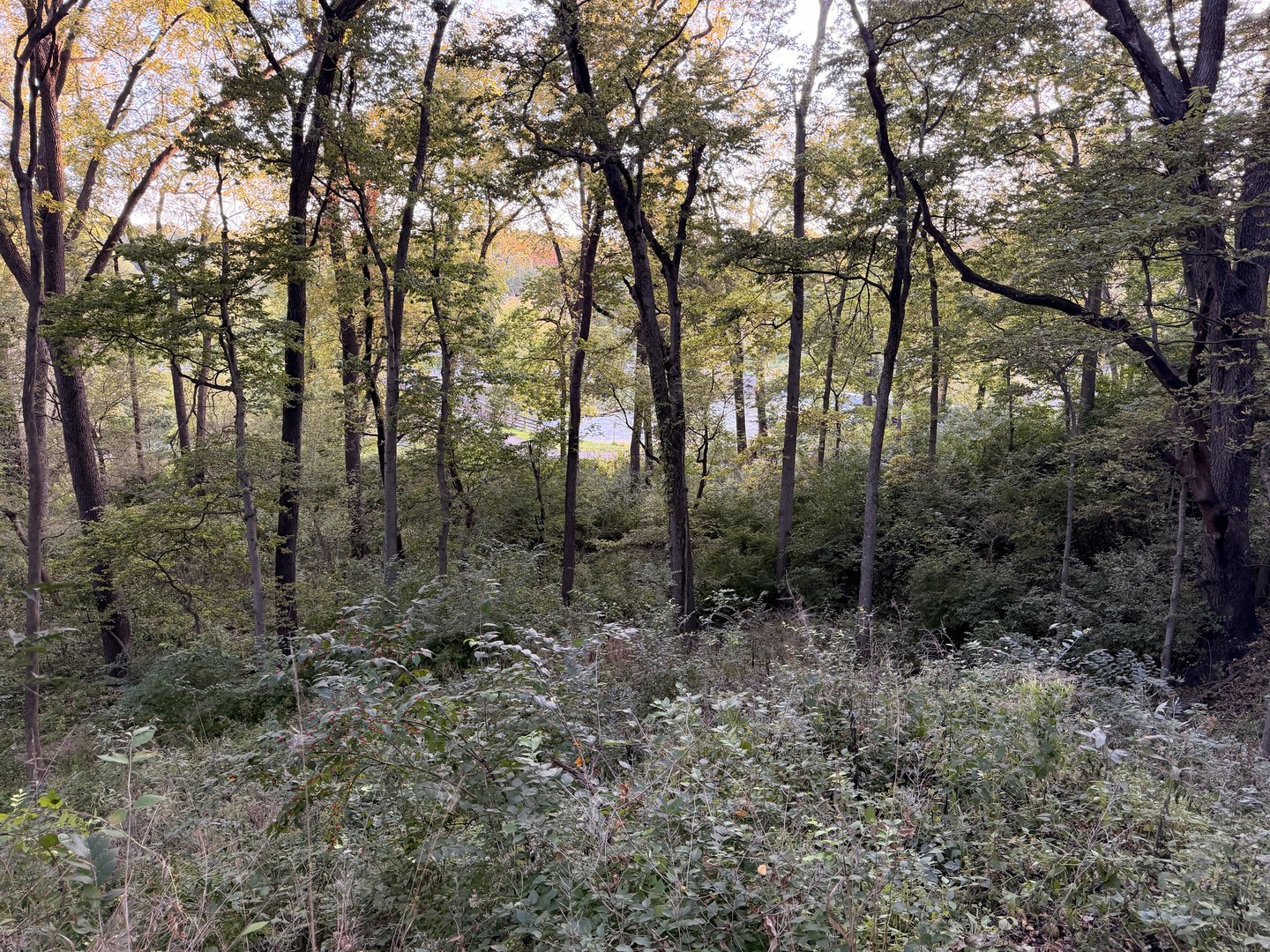 main property photo 56