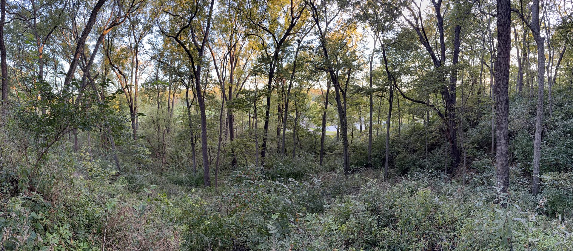 main property photo 57