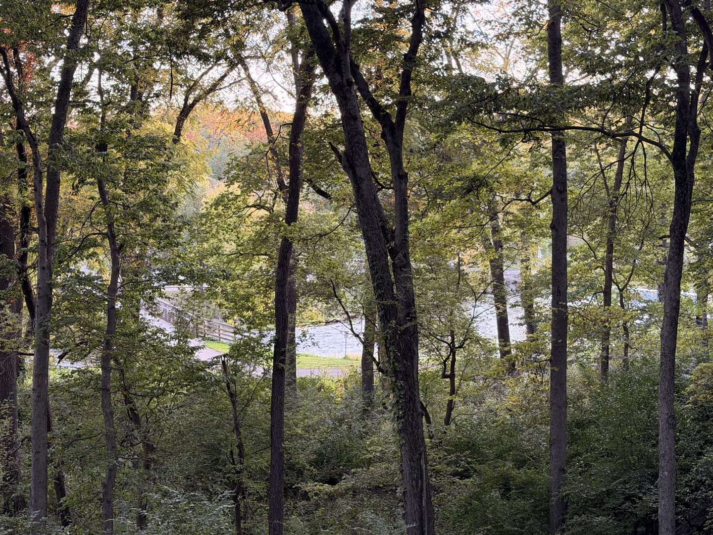 main property photo 59