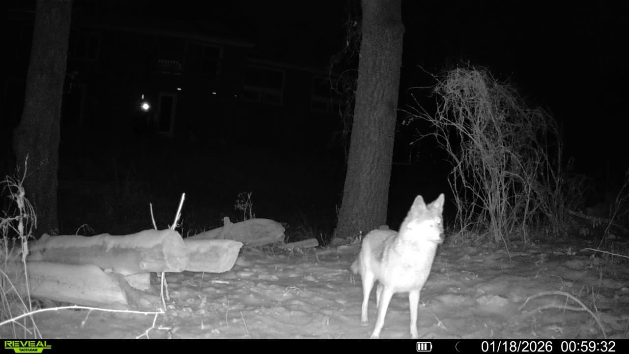 main property photo 60